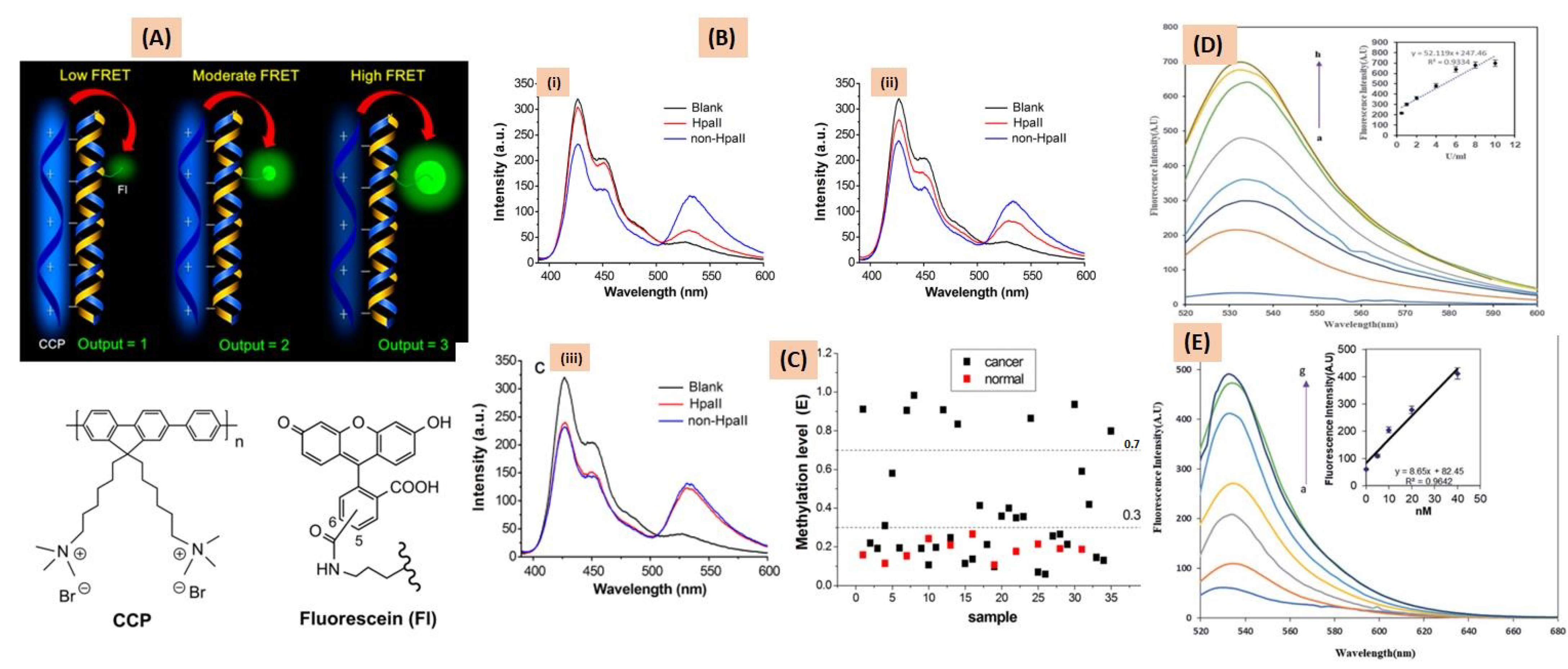 Cancers 15 03414 g003 Cancers 15 03414 g003