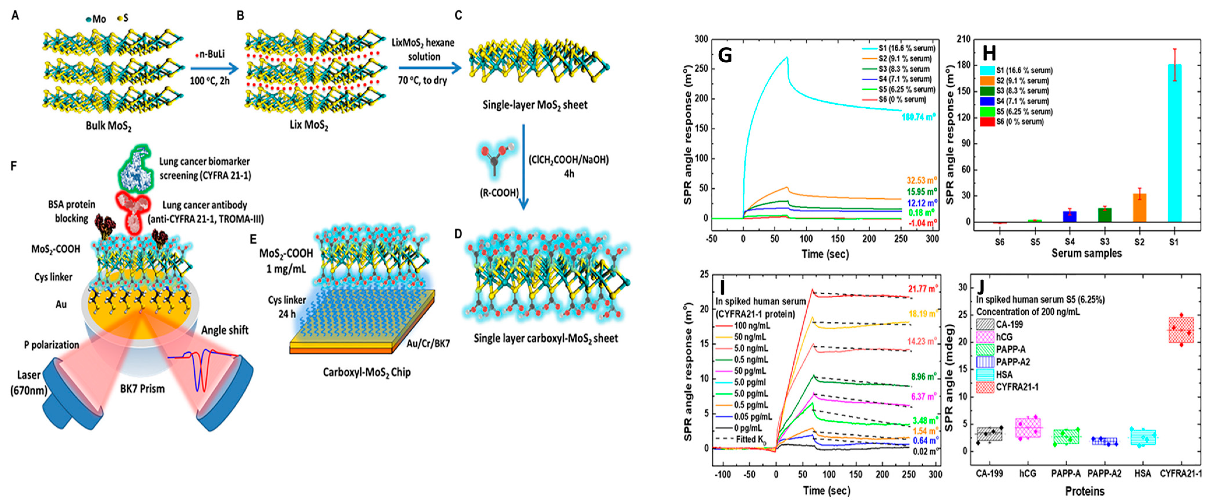 Cancers 15 03414 g005 Cancers 15 03414 g005