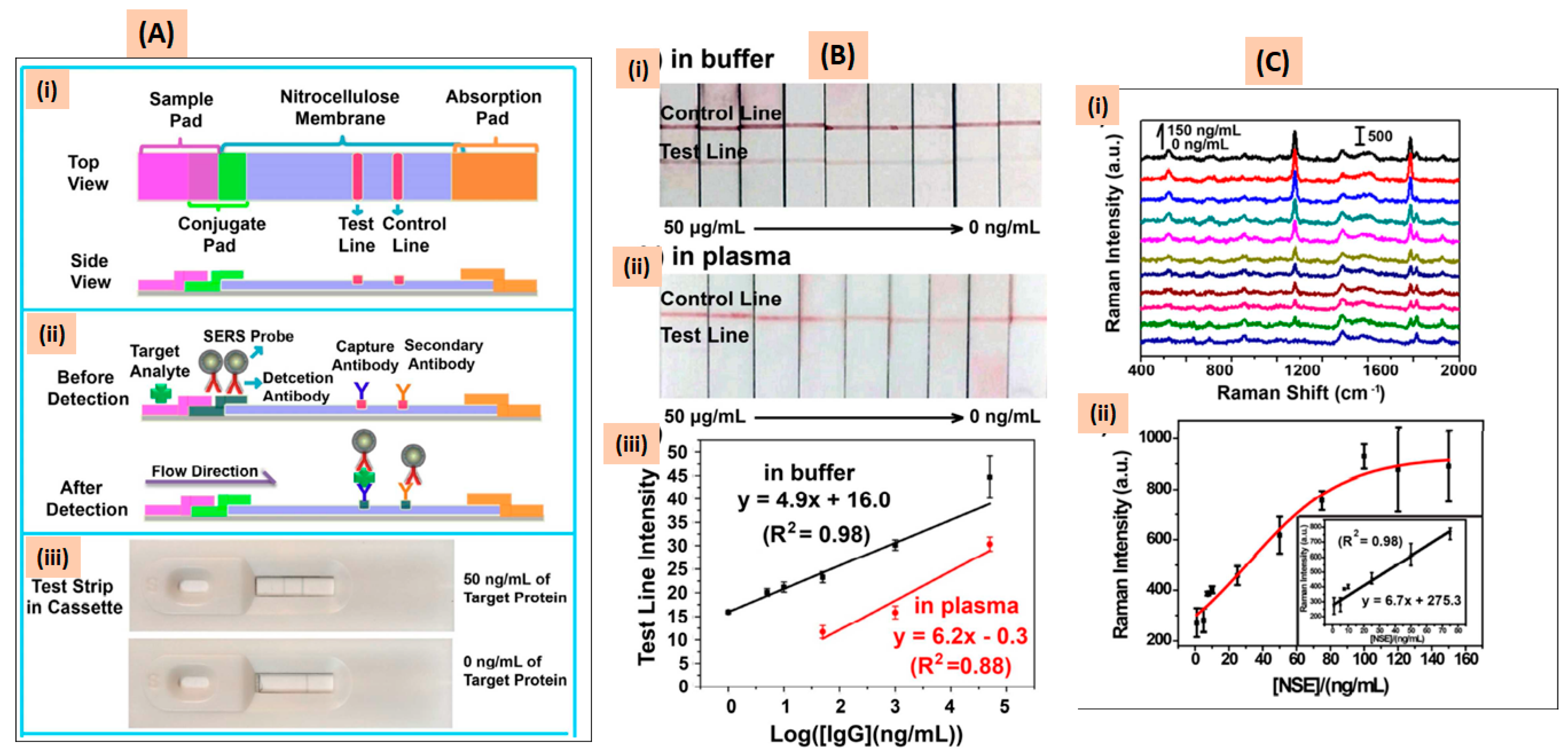 Cancers 15 03414 g007 Cancers 15 03414 g007