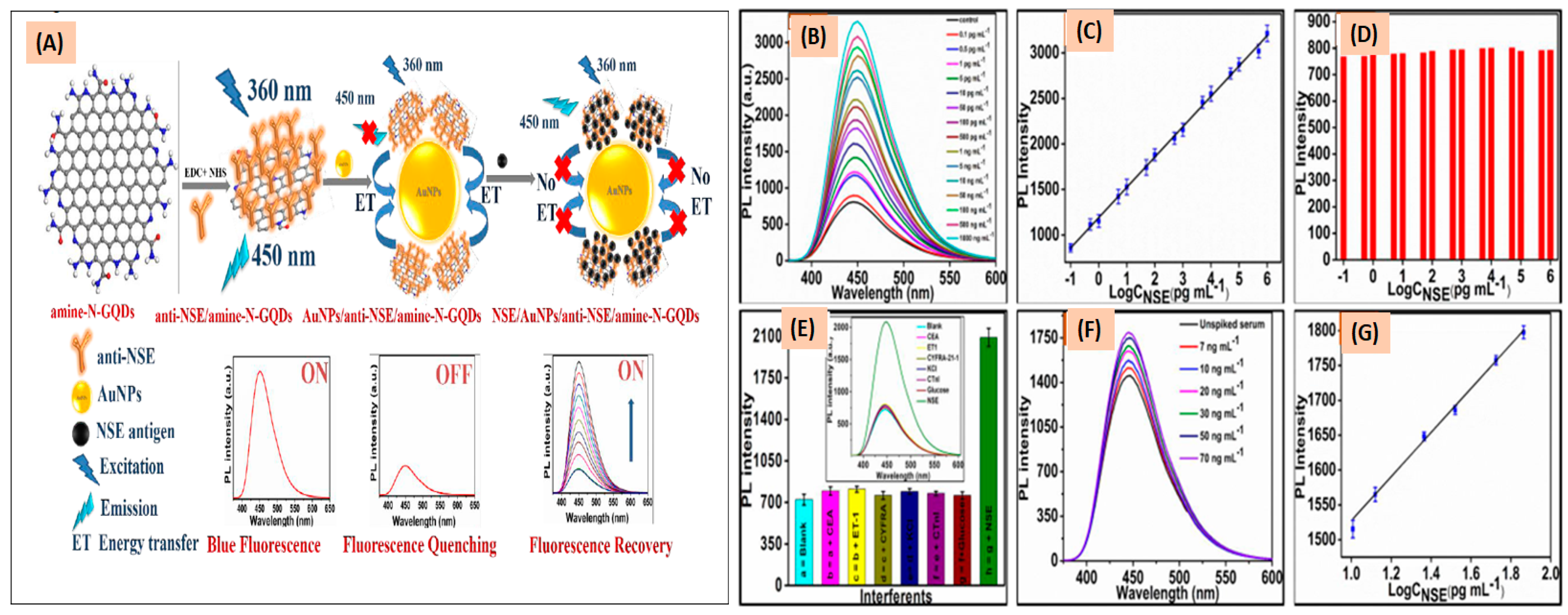 Cancers 15 03414 g008 Cancers 15 03414 g008