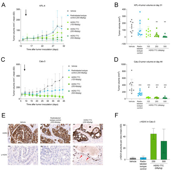 Efficacy of a HER2-Targeted Thorium-227 Conjugate in a HER2