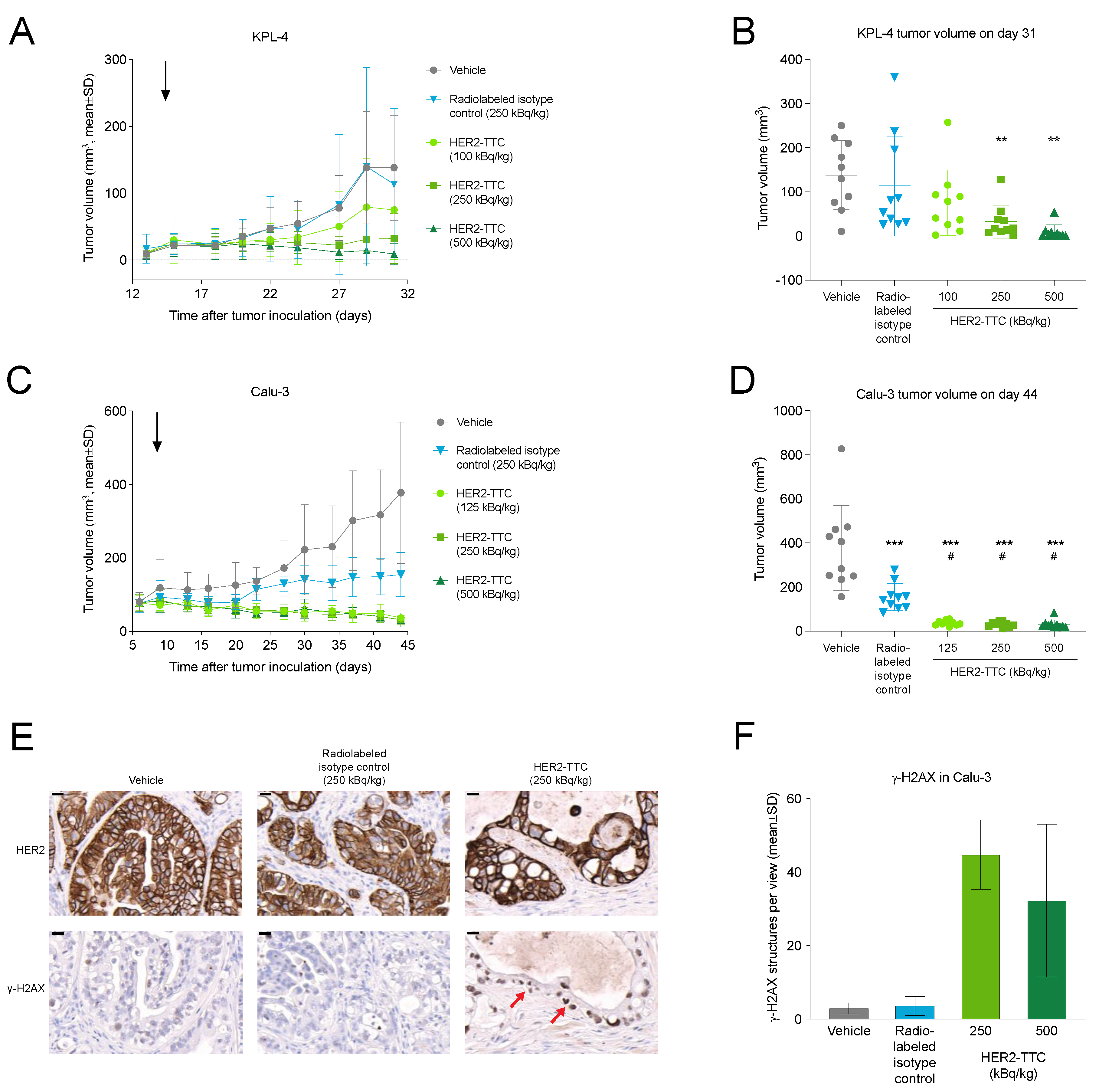 Cancers 15 03419 g003 Cancers 15 03419 g003