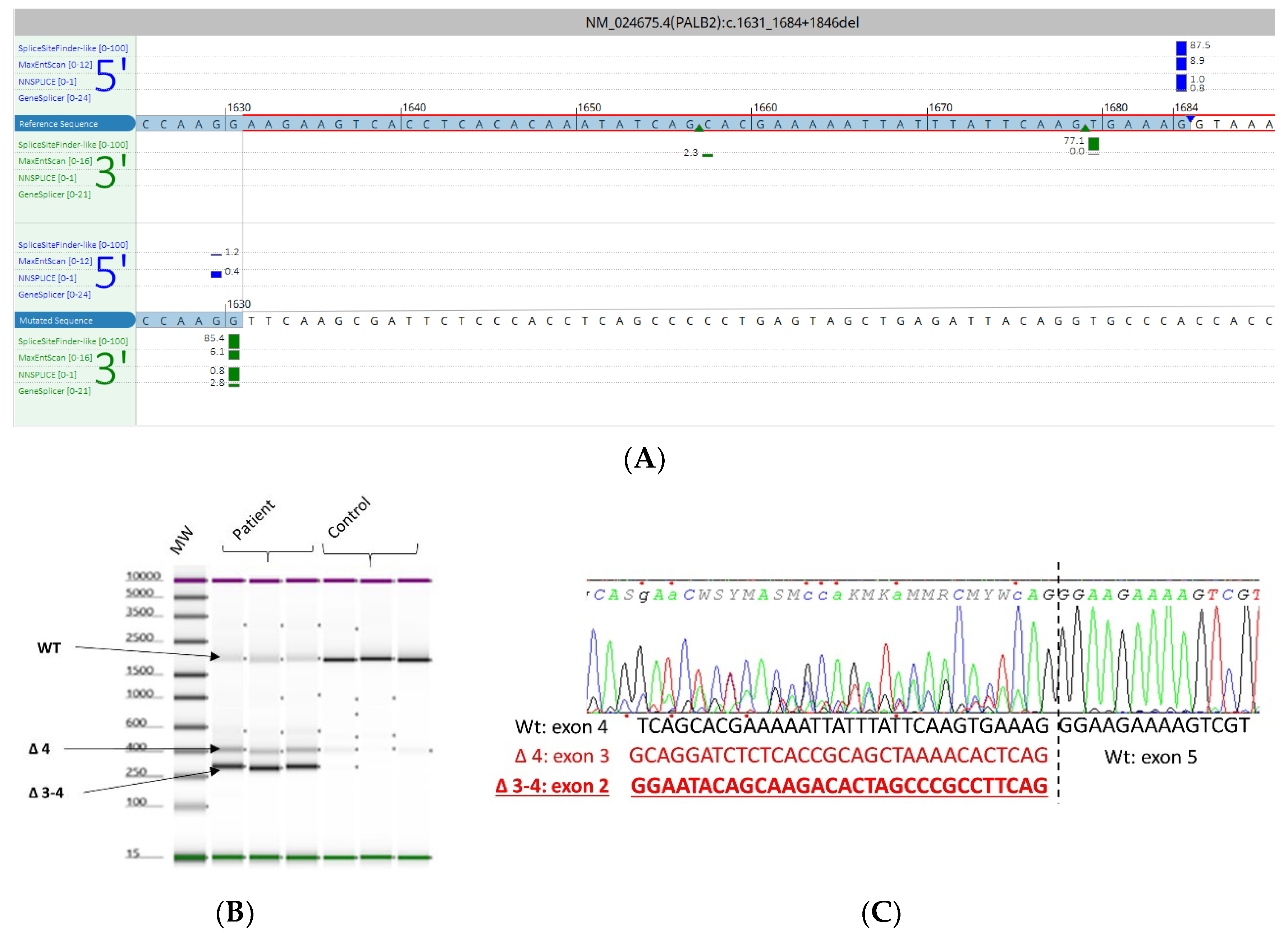 Cancers 15 03420 g002