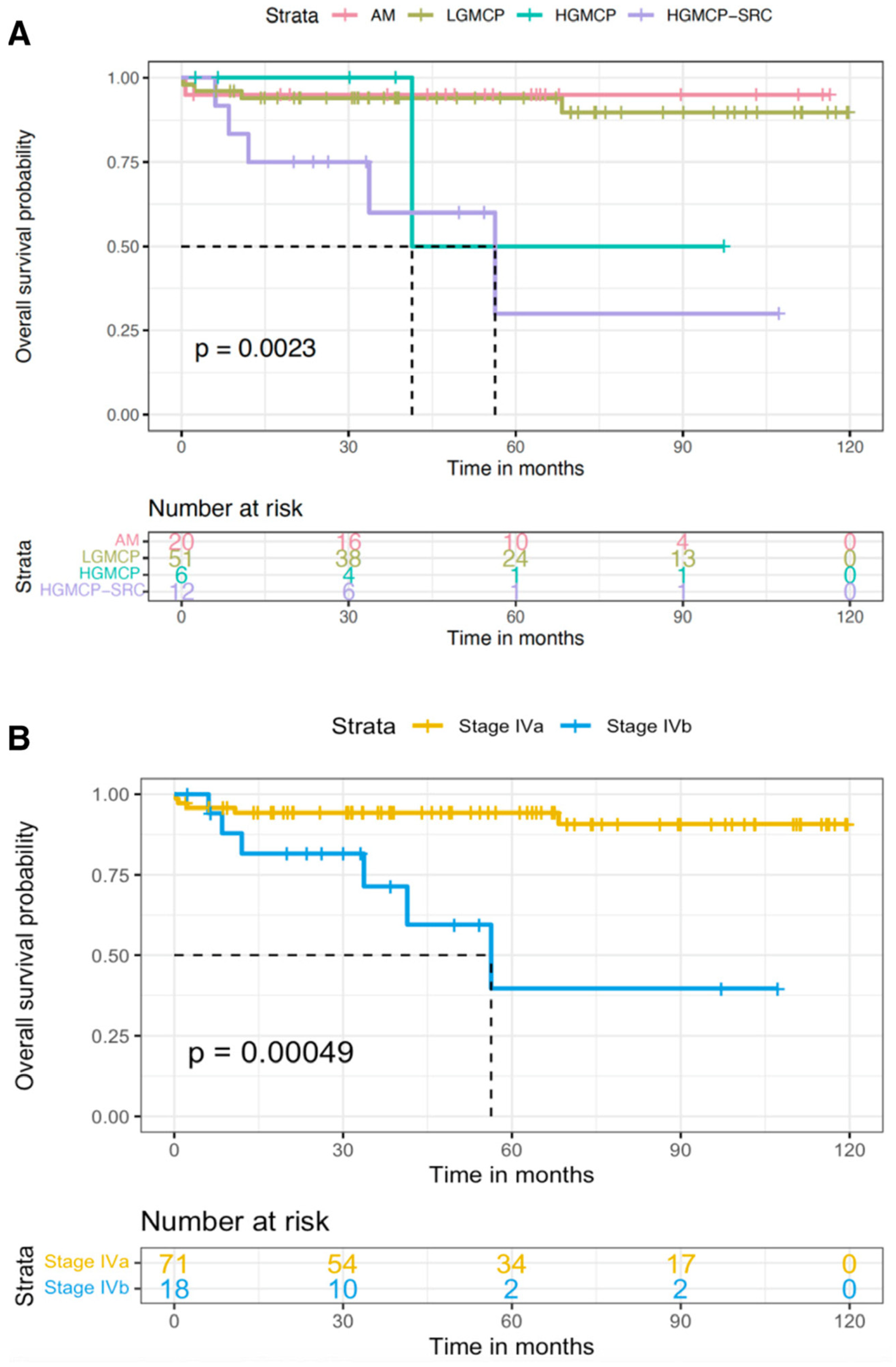 Cancers 15 03426 g002