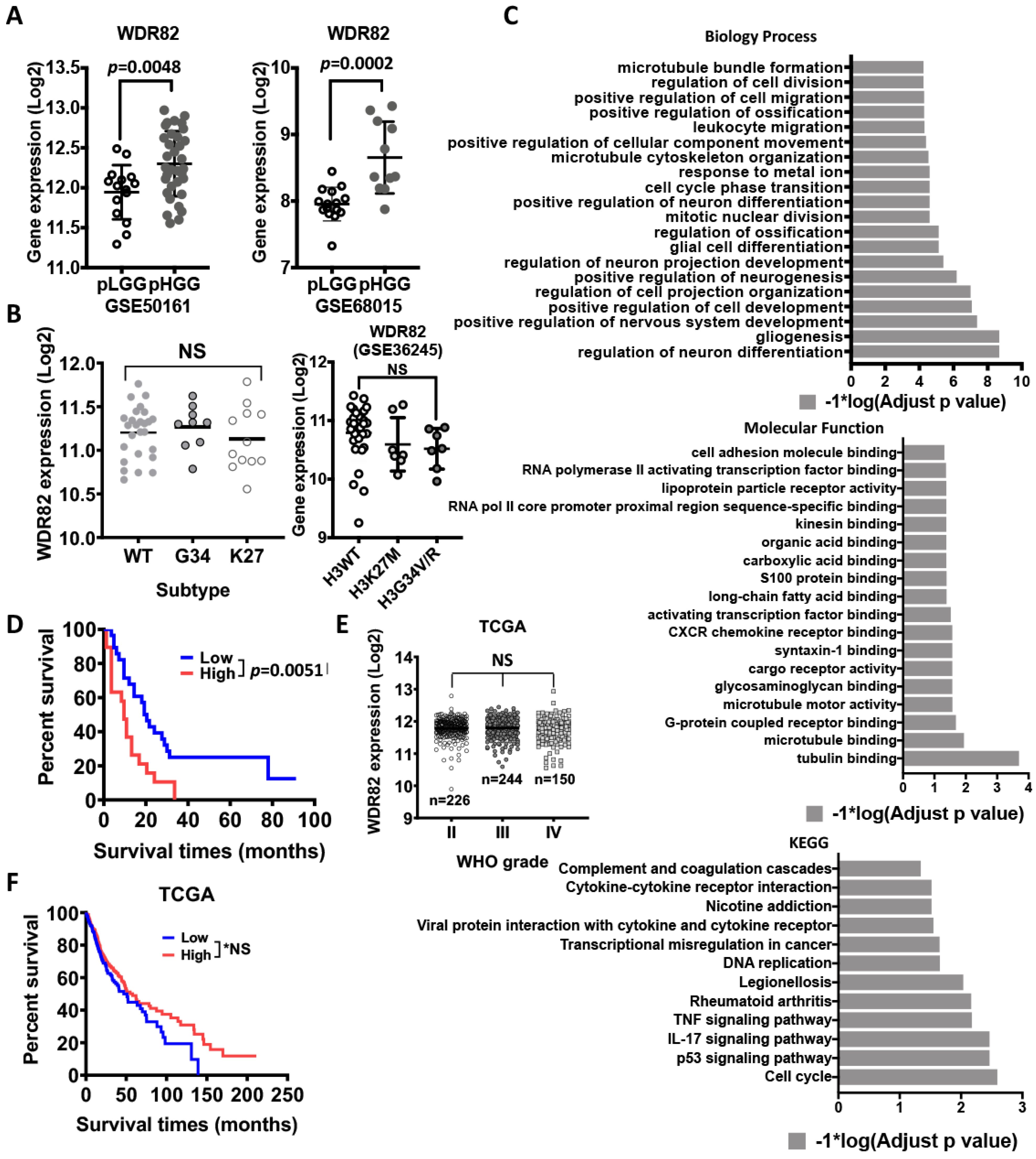 Cancers 15 03429 g002