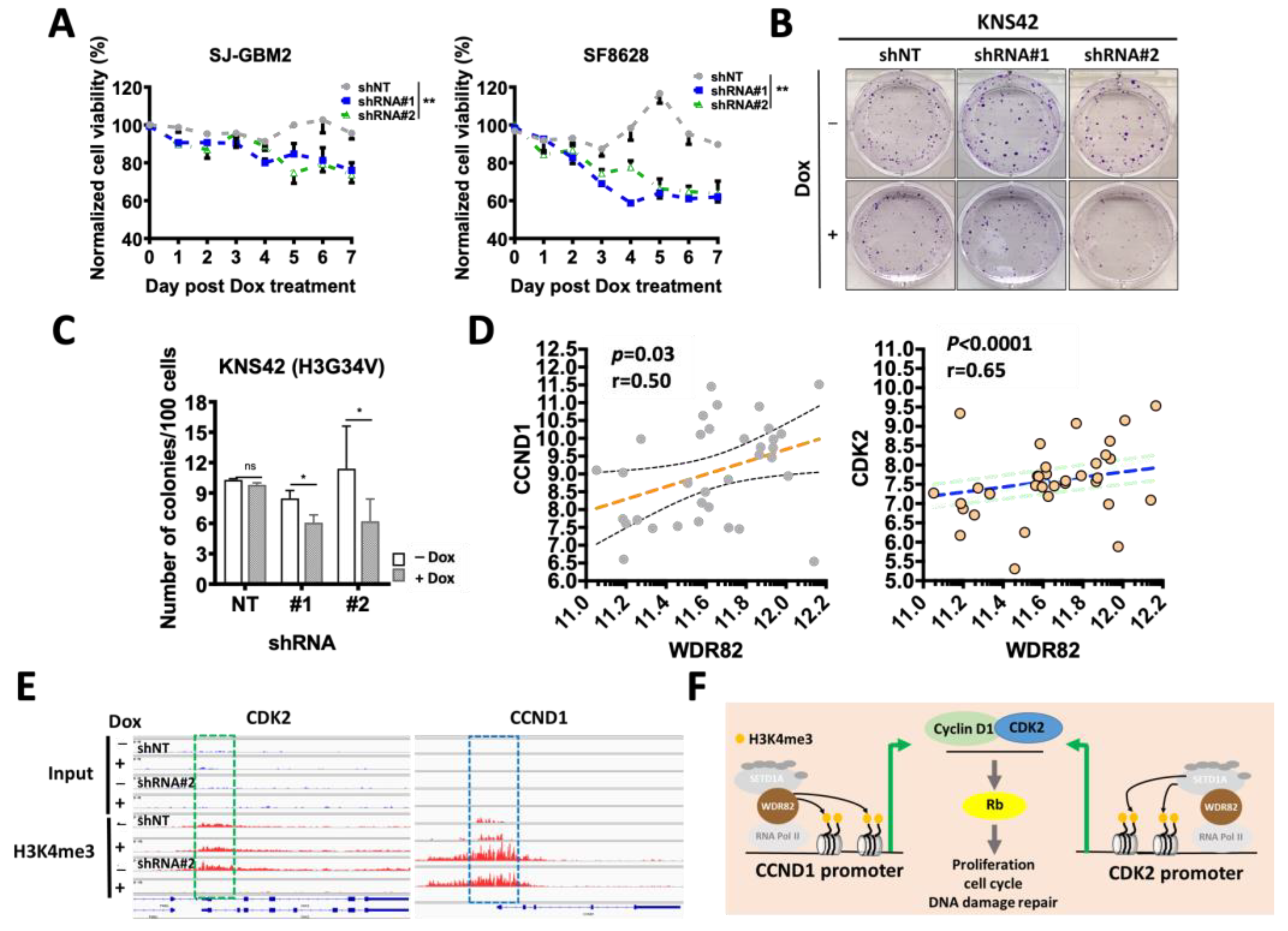 Cancers 15 03429 g005