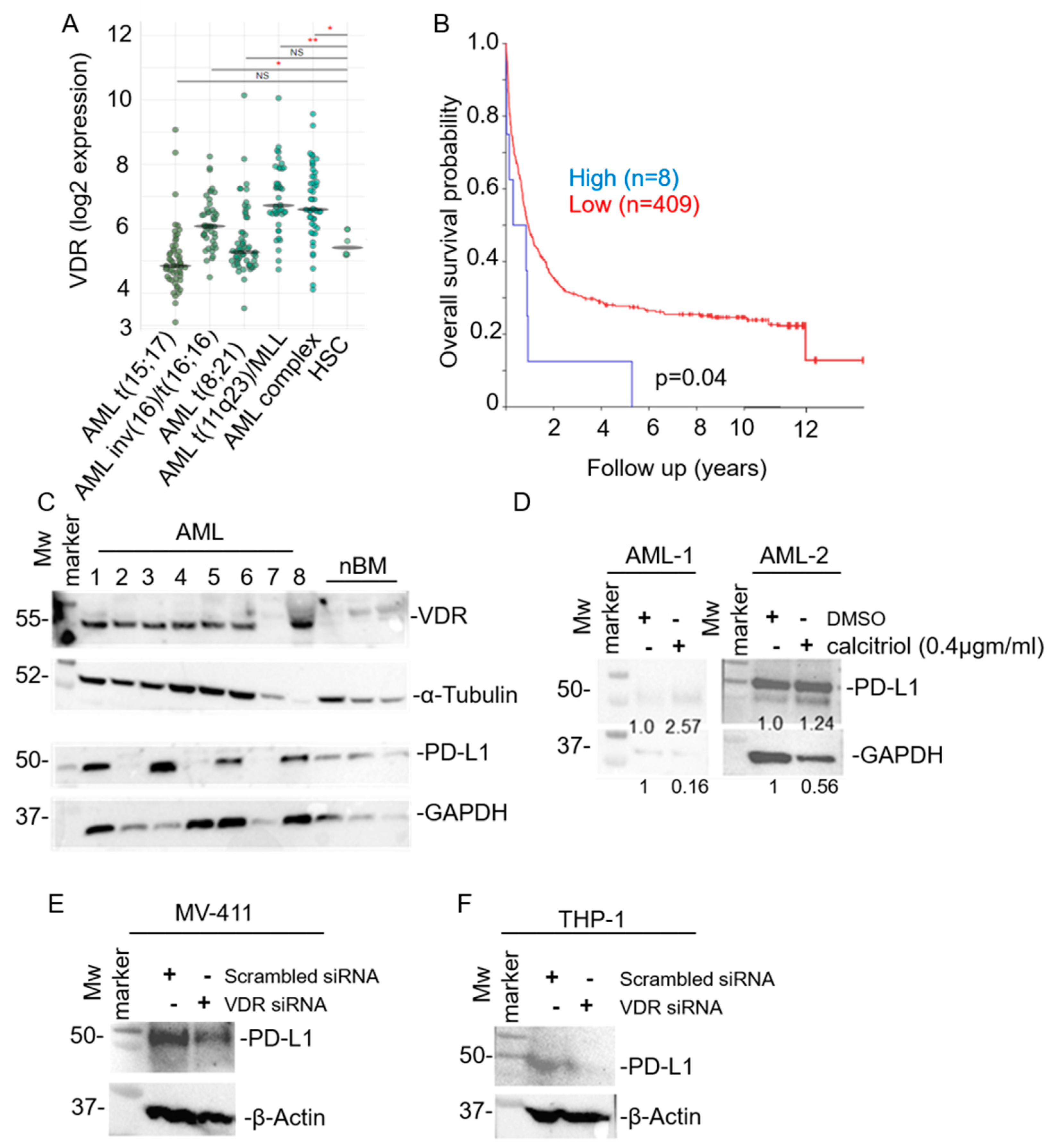 Cancers 15 03432 g001