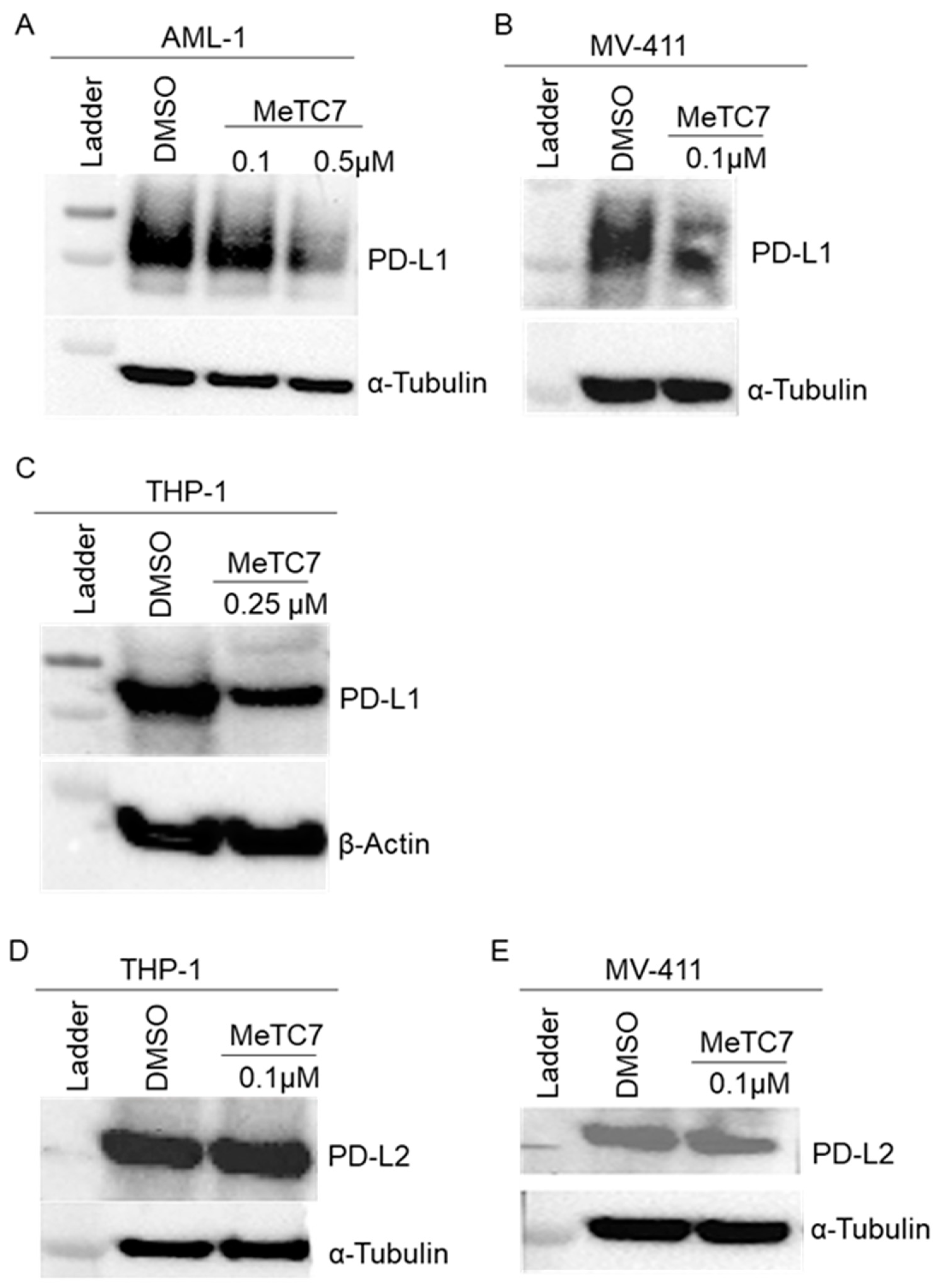 Cancers 15 03432 g003