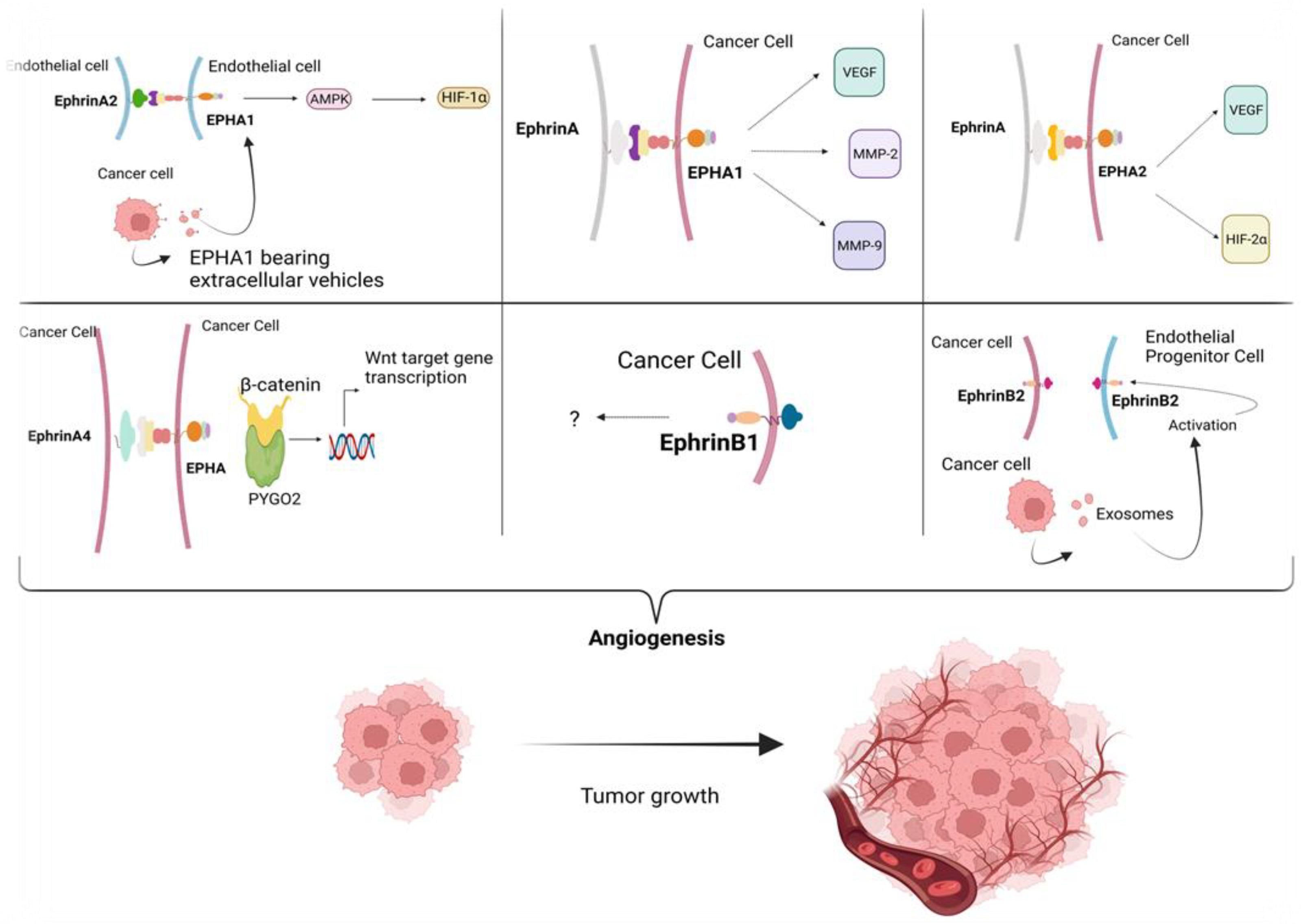 Cancers 15 03434 g002 Cancers 15 03434 g002