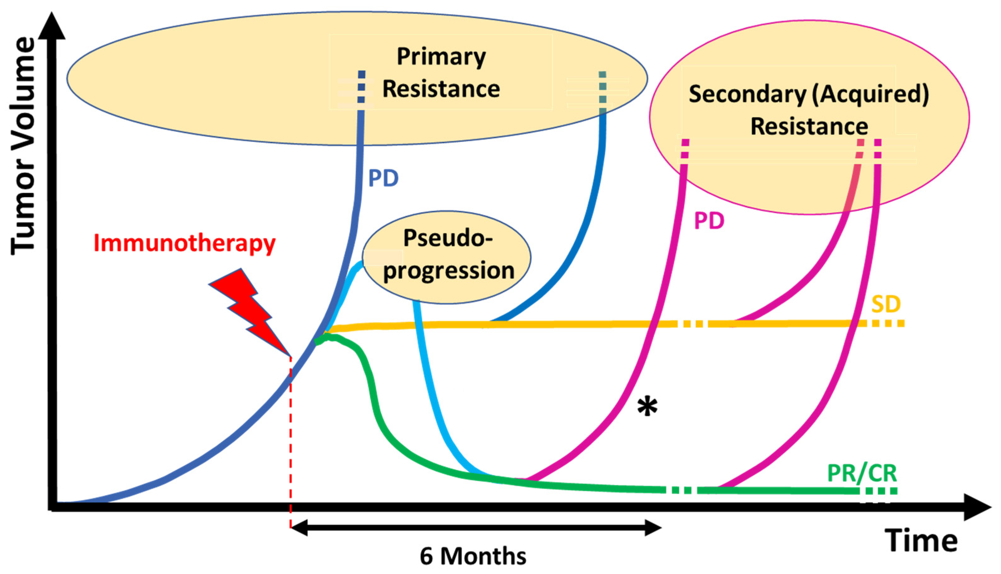 Cancers 15 03448 g001