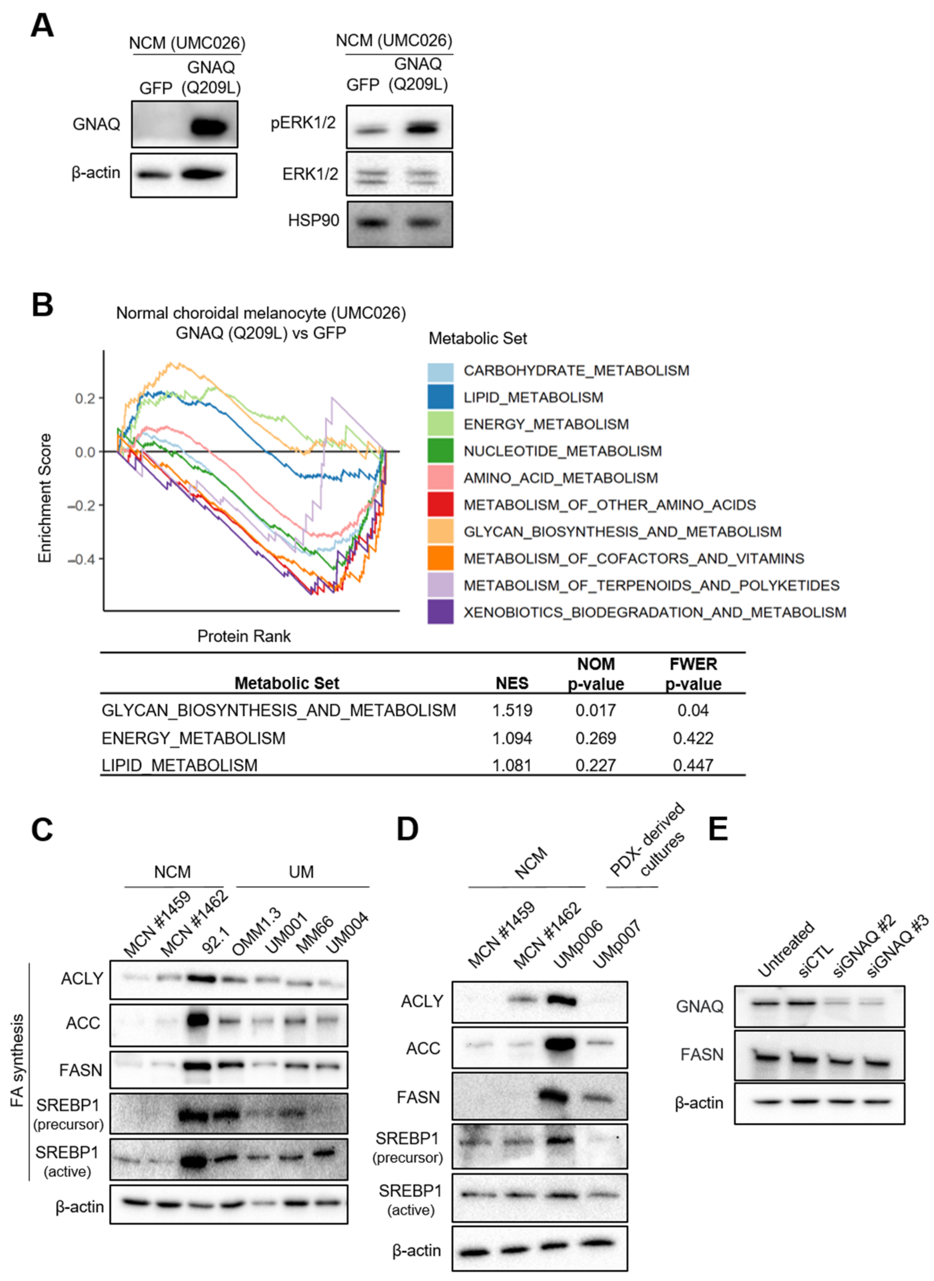 Cancers 15 03451 g001 Cancers 15 03451 g001