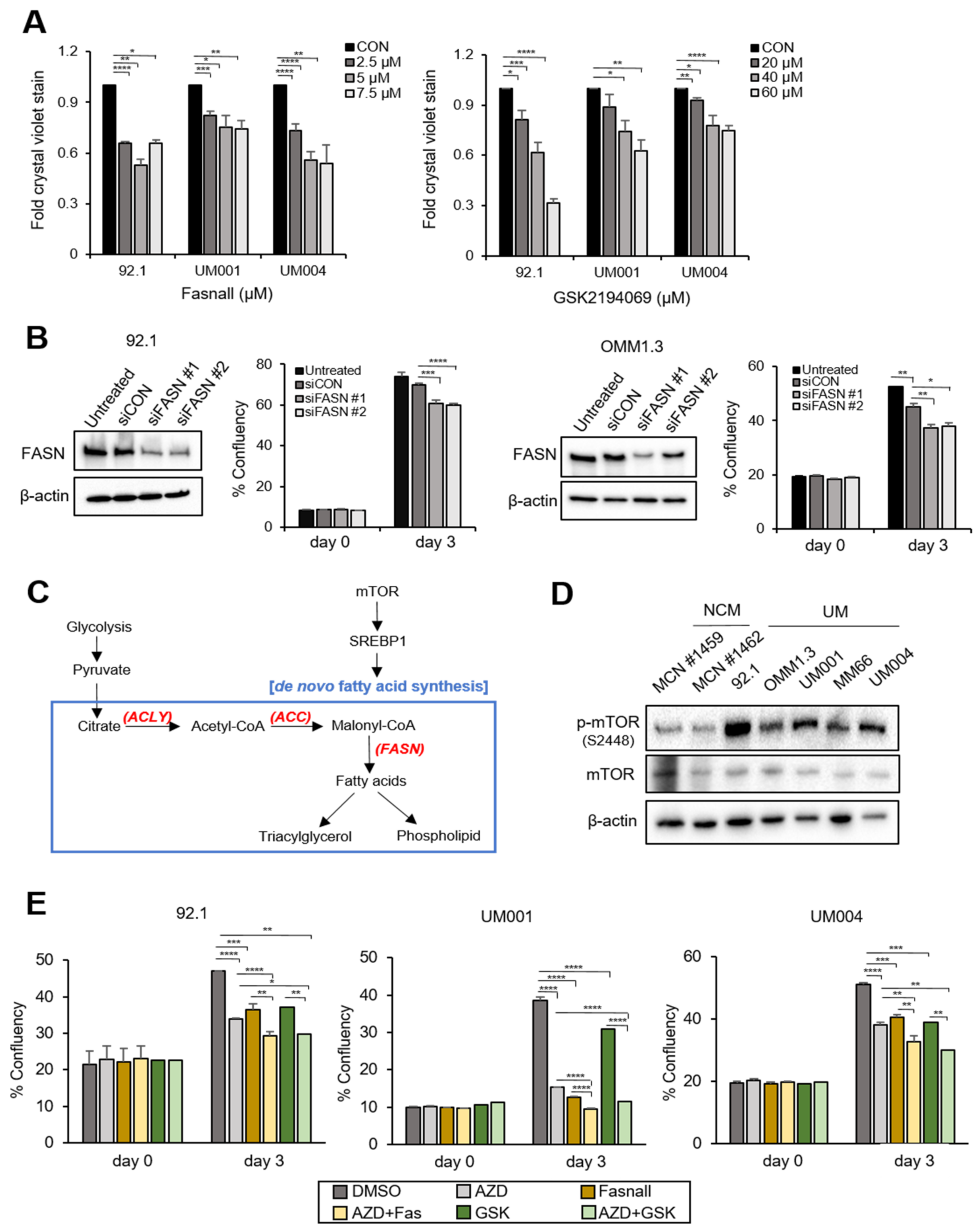 Cancers 15 03451 g003 Cancers 15 03451 g003