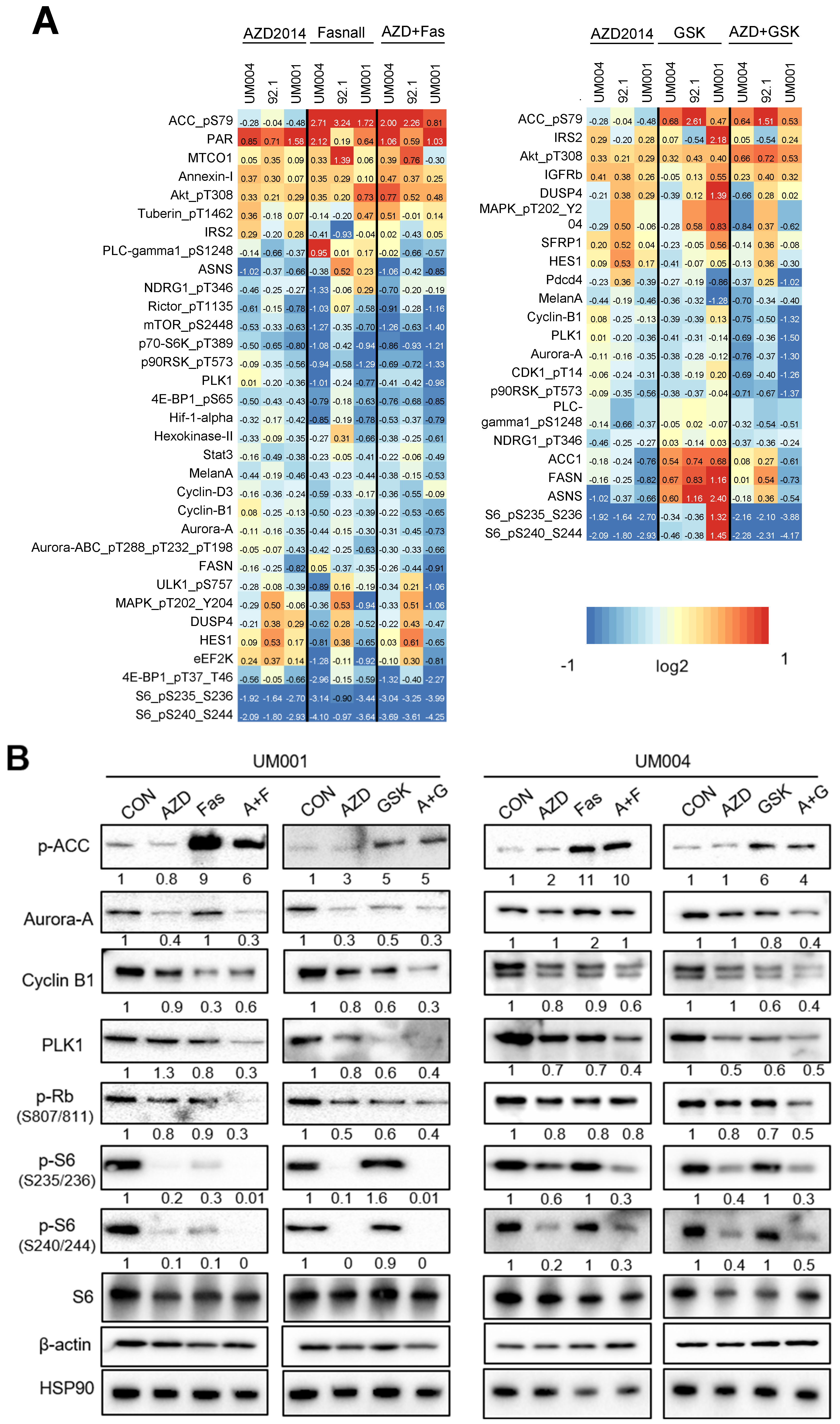 Cancers 15 03451 g004 Cancers 15 03451 g004