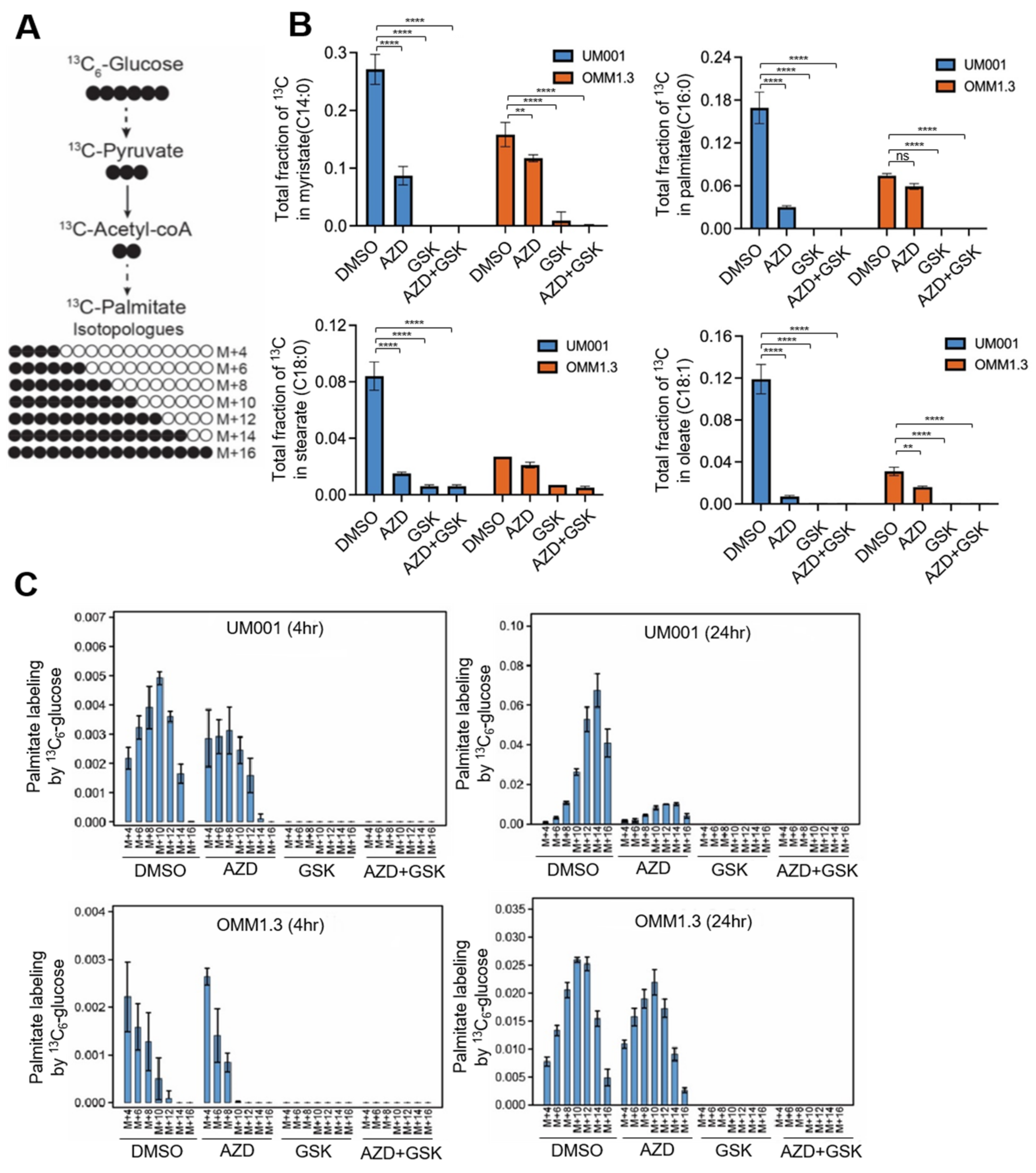 Cancers 15 03451 g006 Cancers 15 03451 g006