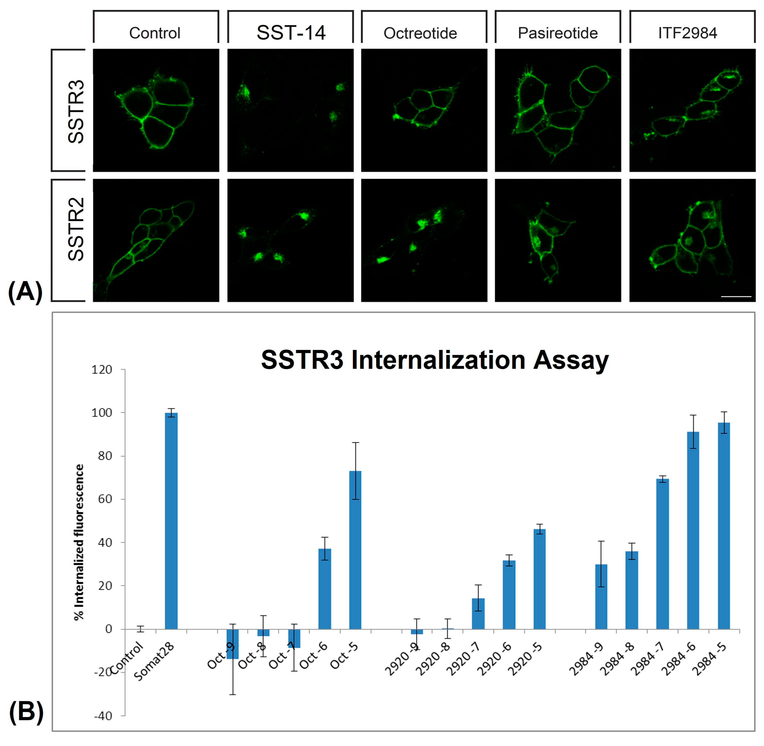 Cancers 15 03453 g003 Cancers 15 03453 g003