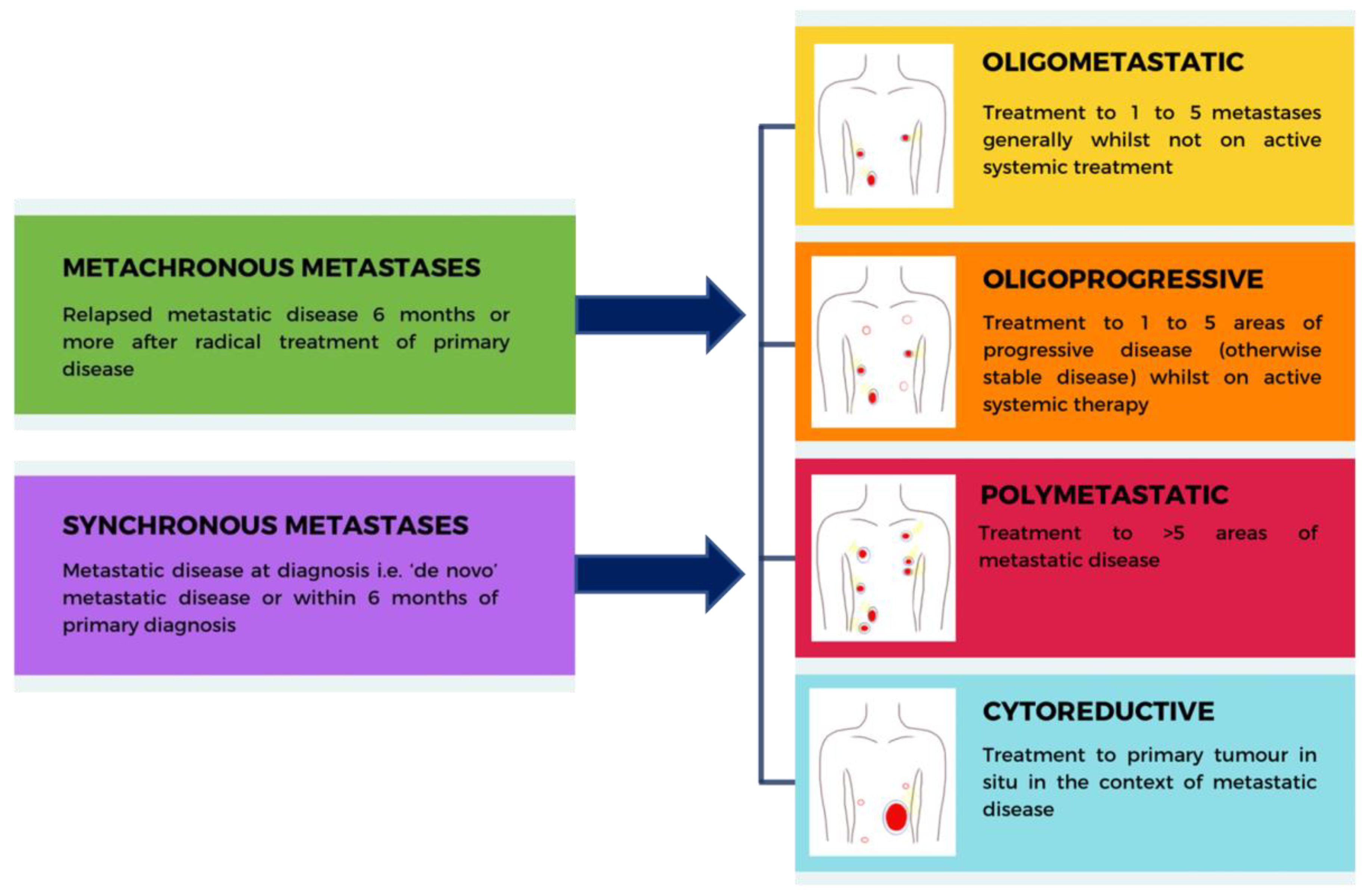 Cancers 15 03455 g001 Cancers 15 03455 g001