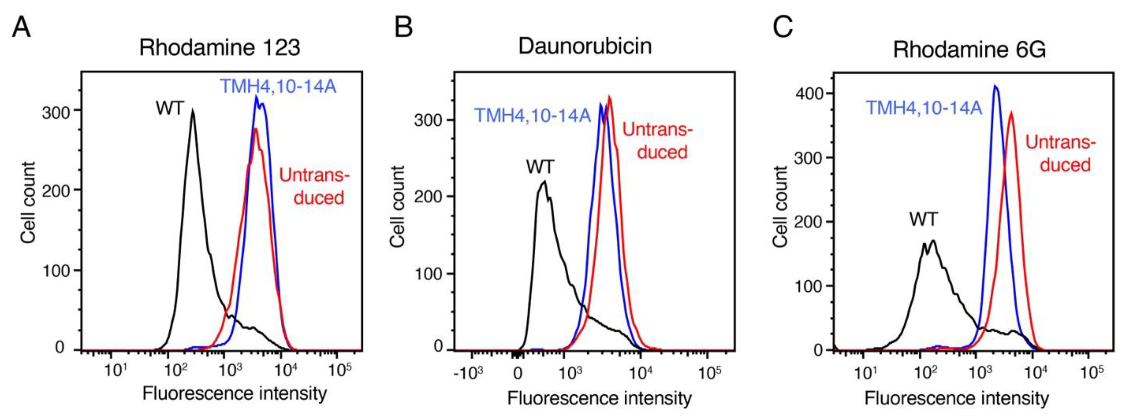 Cancers 15 03459 g004 Cancers 15 03459 g004
