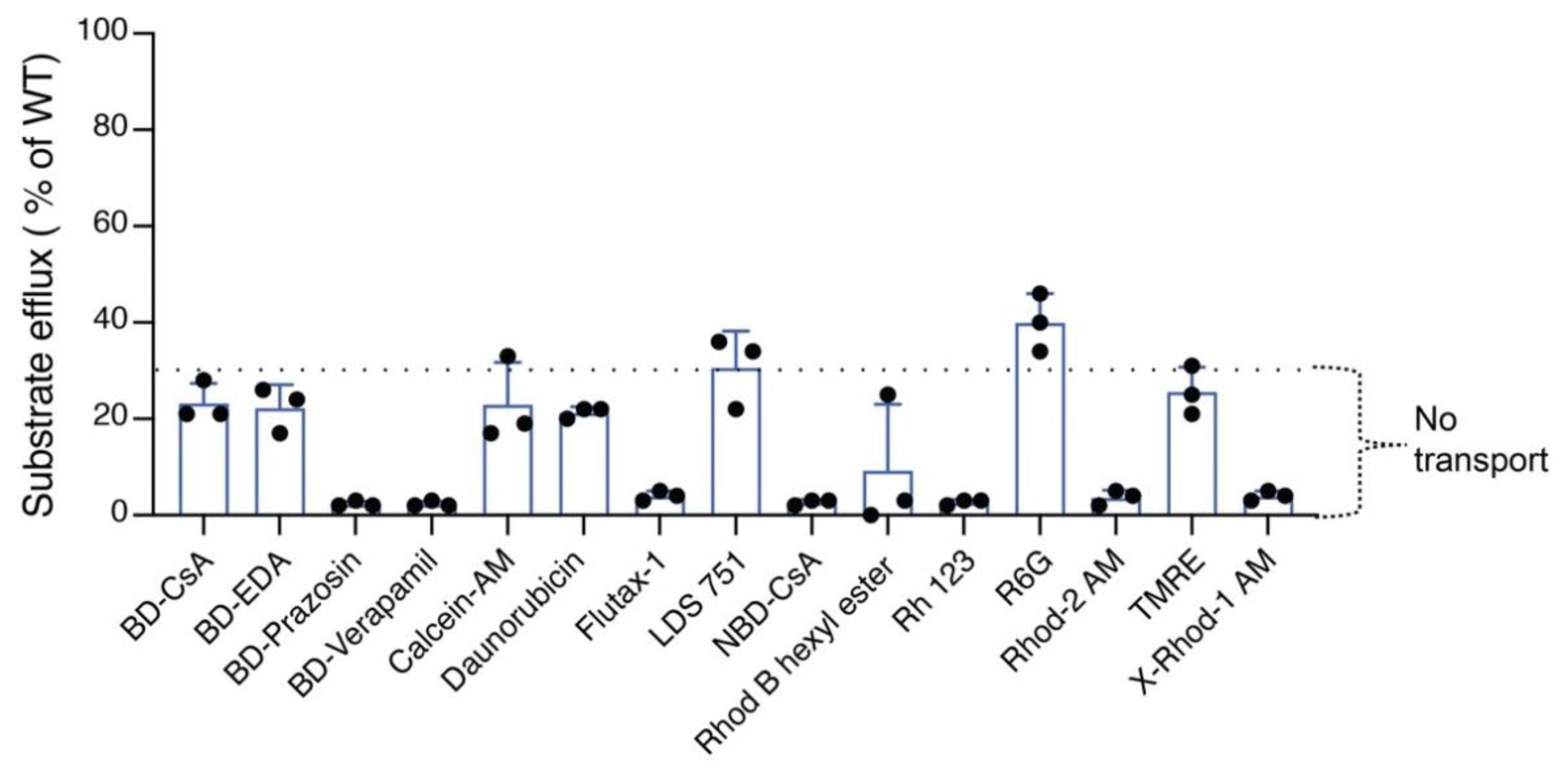 Residues from Homologous Transmembrane Helices 4 and 10 Are