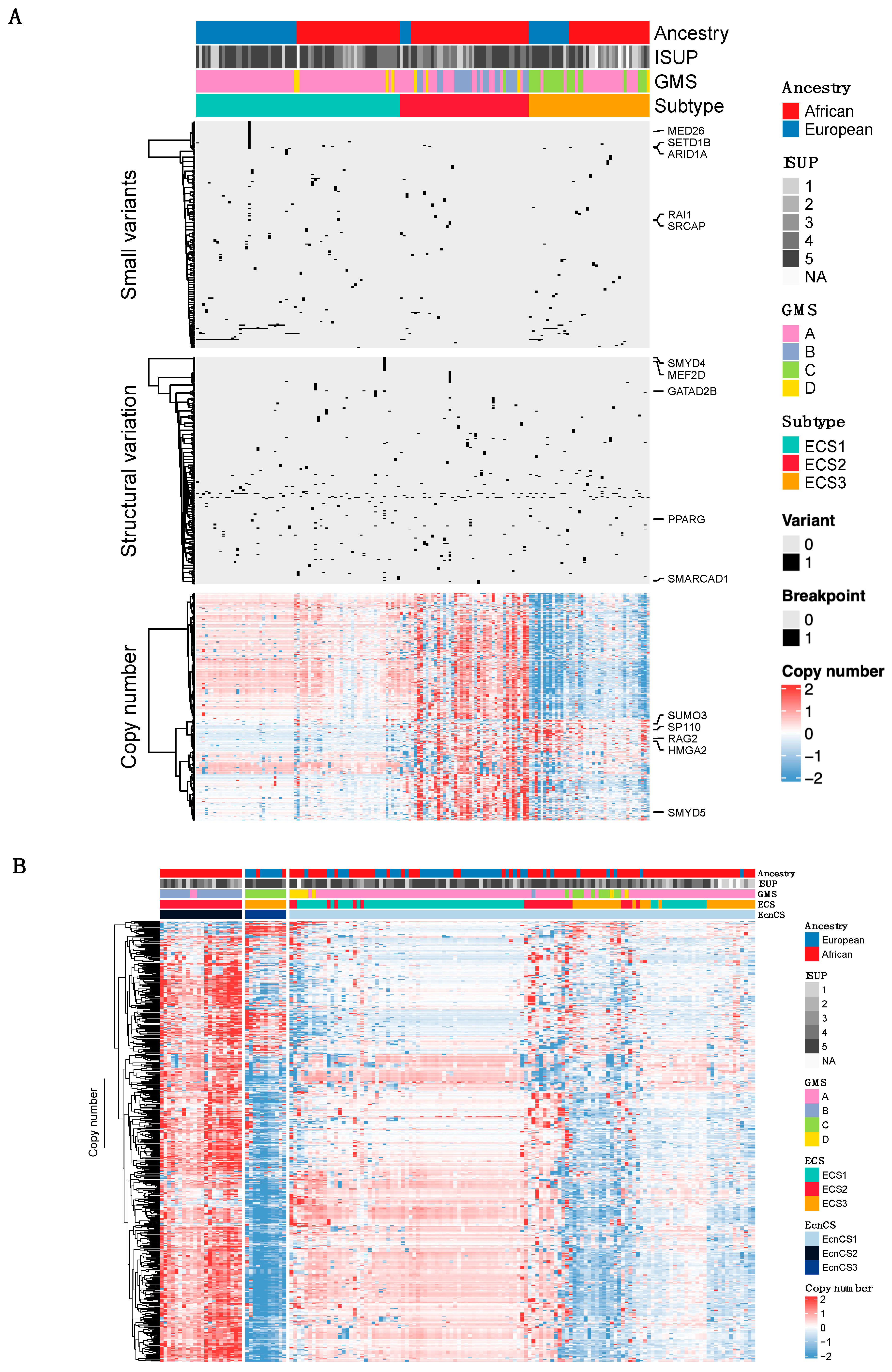 Cancers 15 03462 g002 Cancers 15 03462 g002