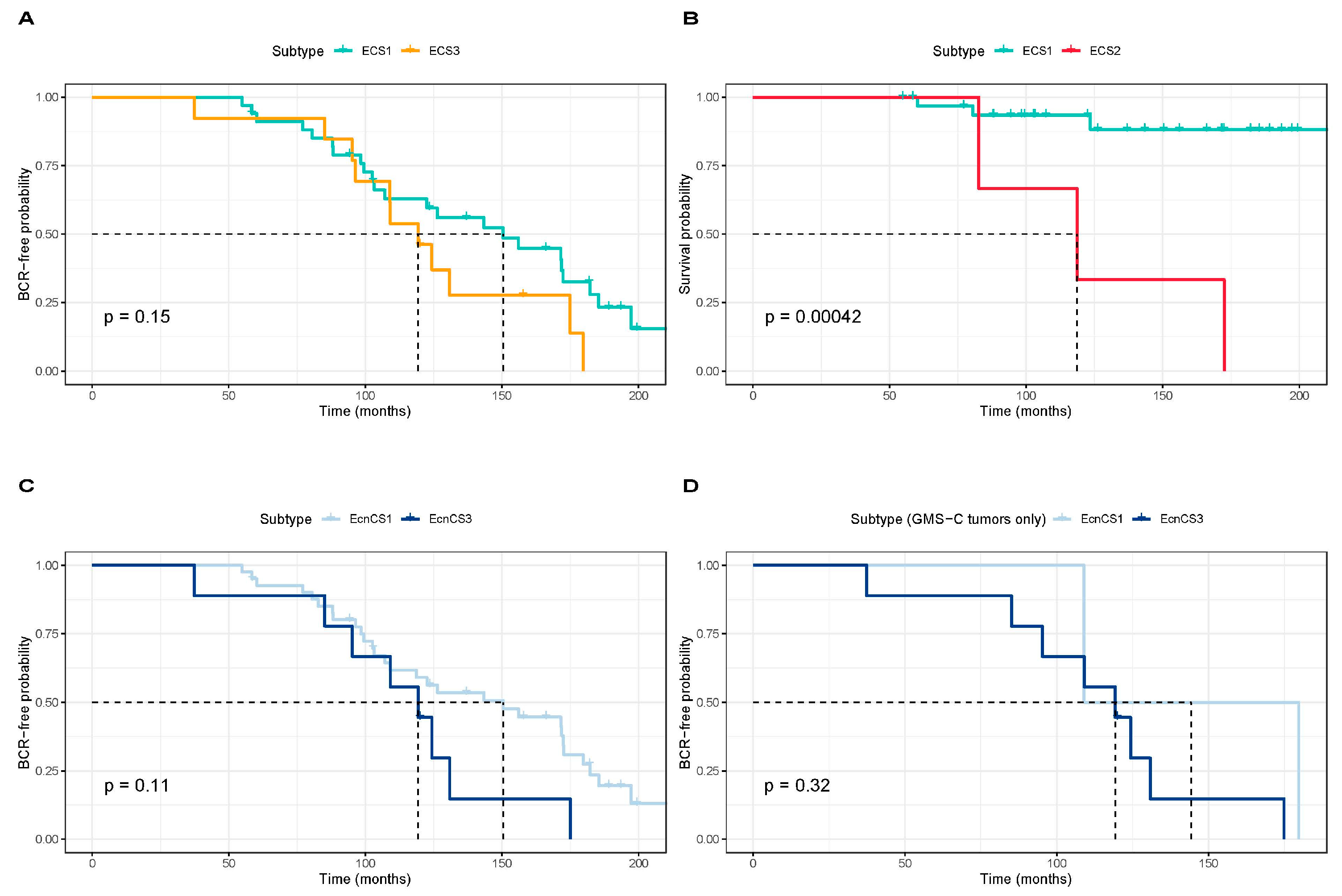 Cancers 15 03462 g003 Cancers 15 03462 g003