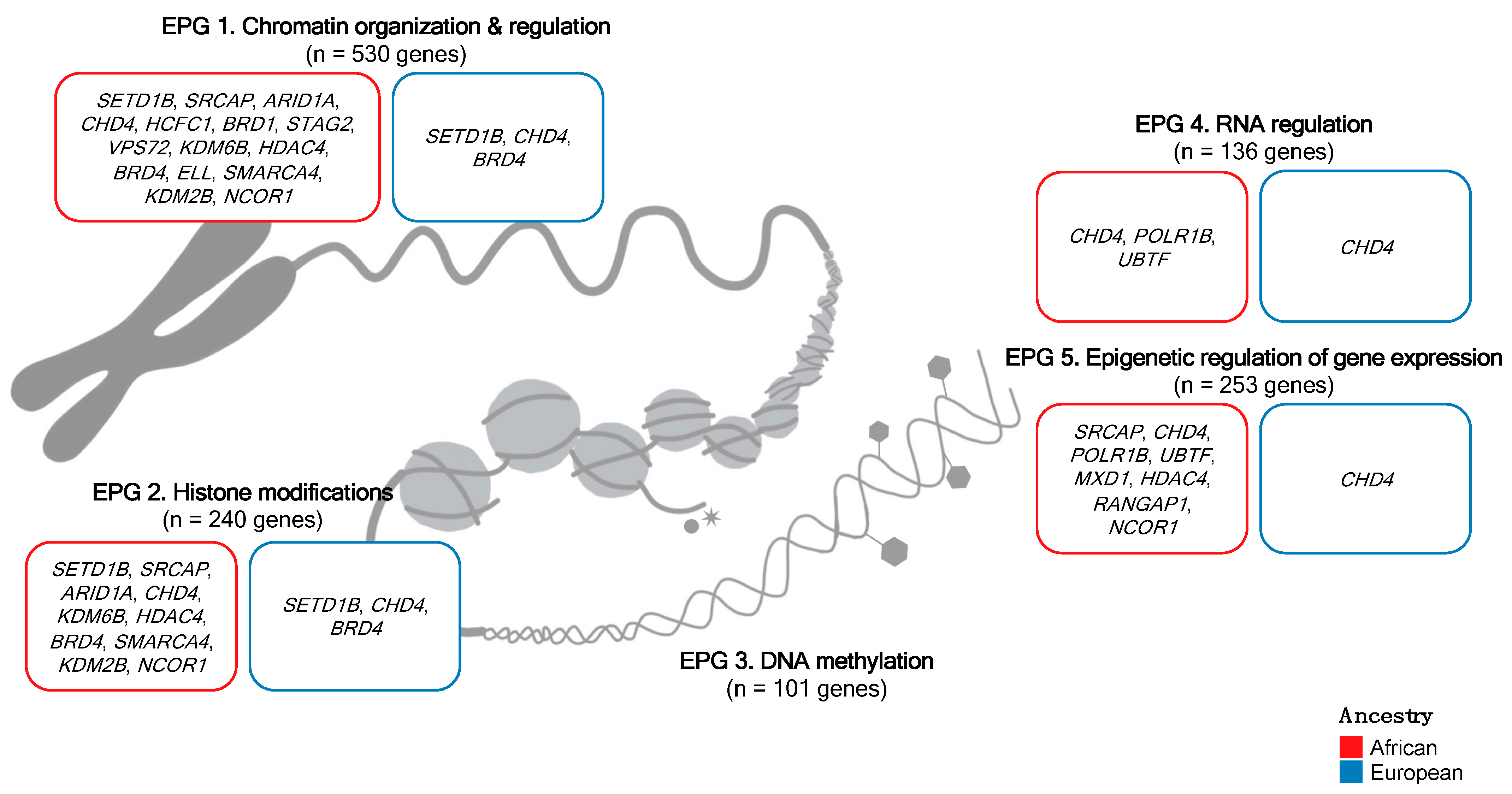 Cancers 15 03462 g004 Cancers 15 03462 g004