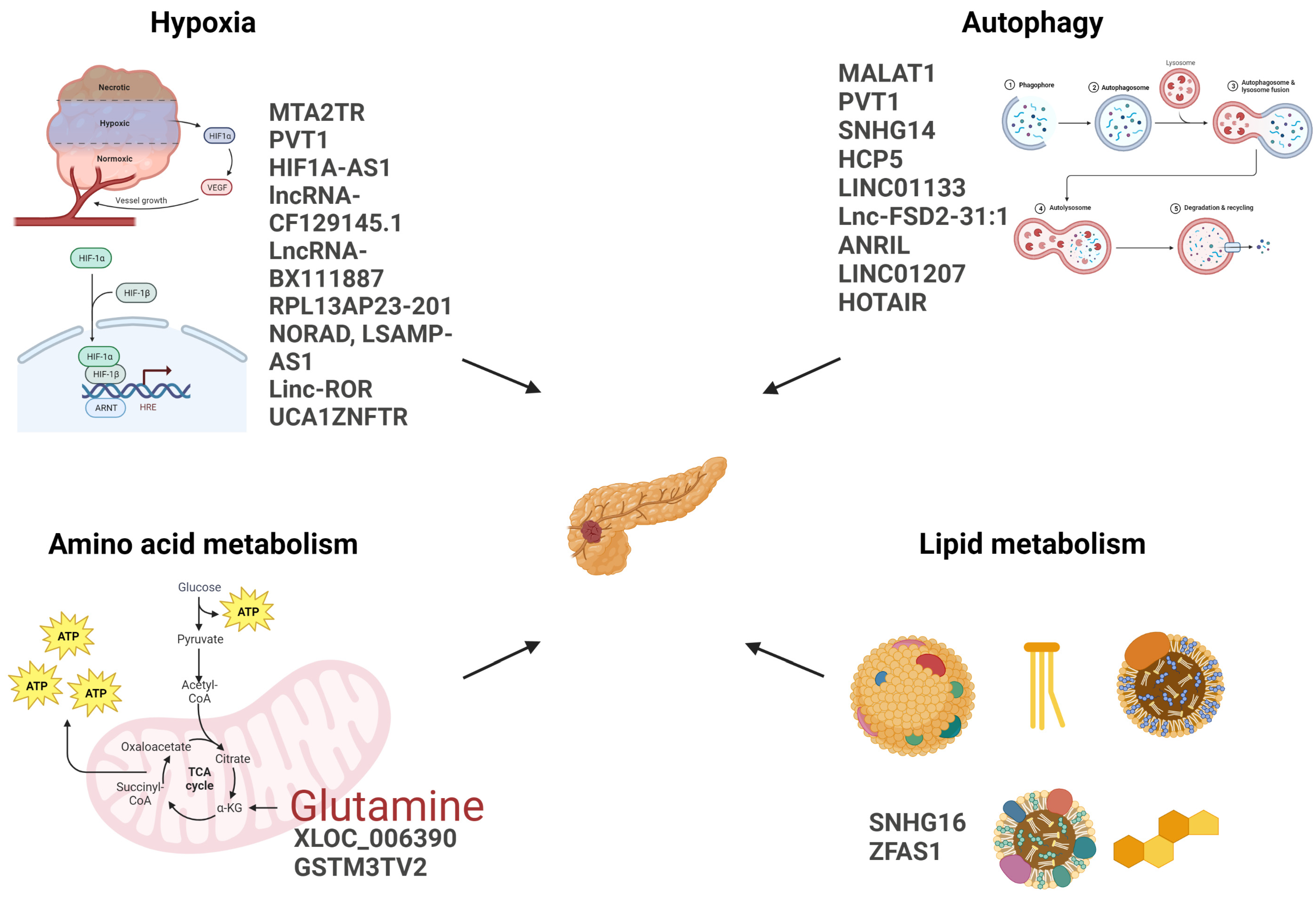 Cancers 15 03486 g002 Cancers 15 03486 g002