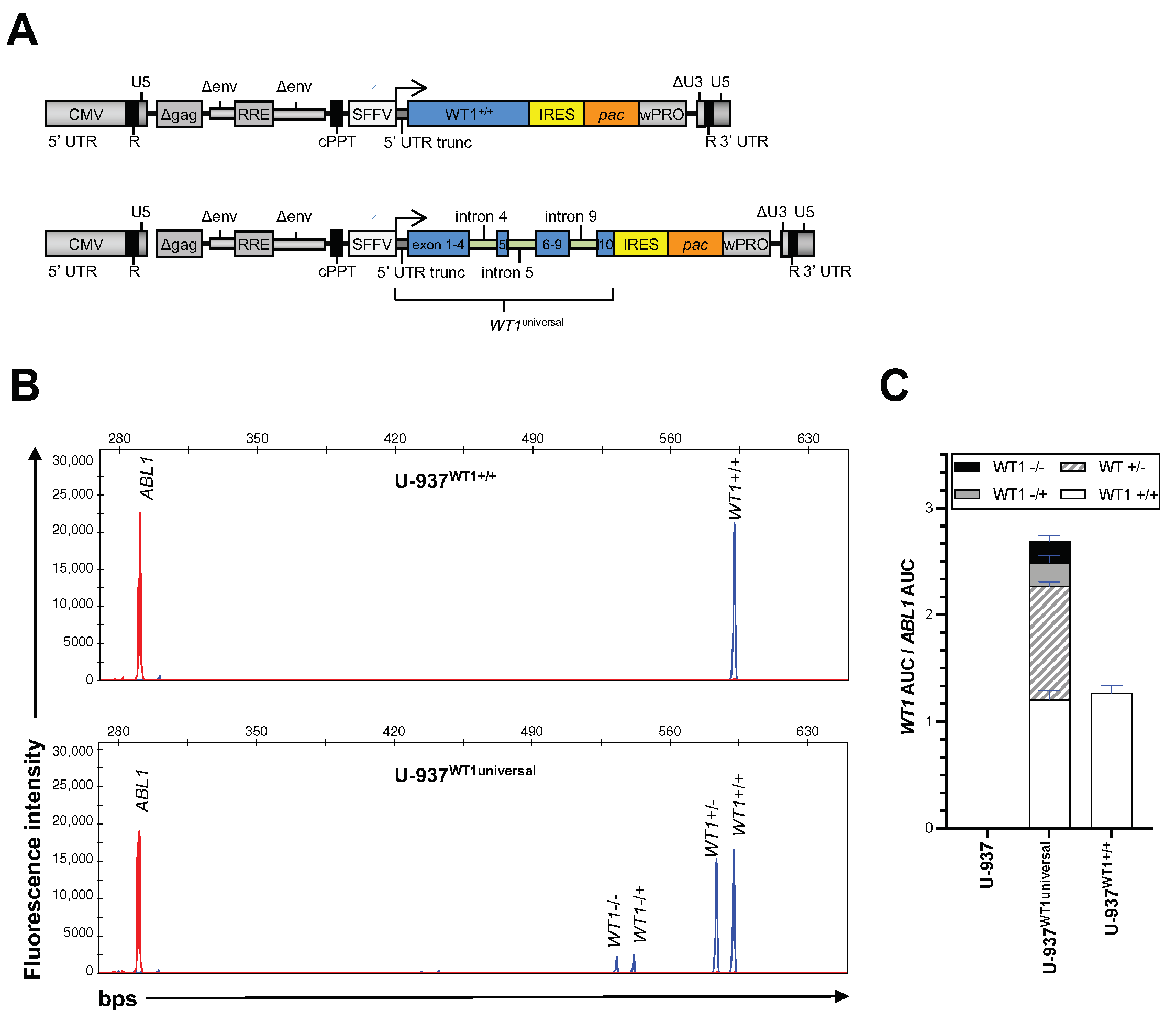 Cancers 15 03491 g003