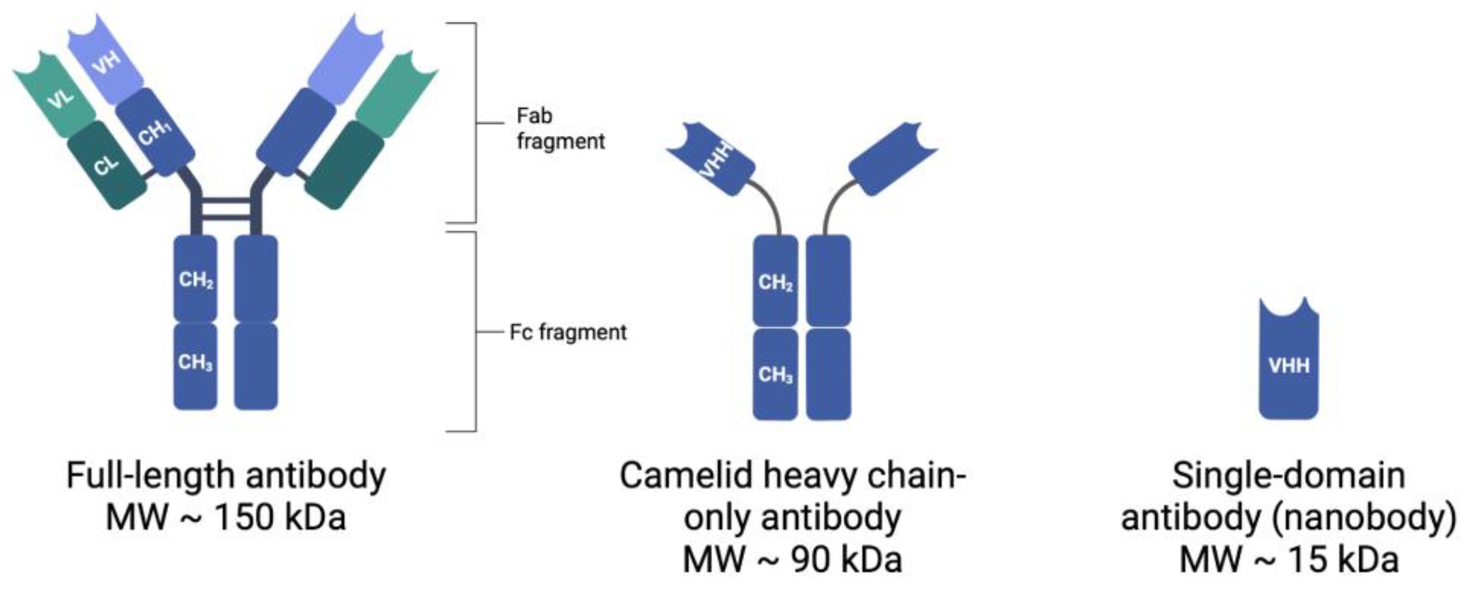 Cancers 15 03493 g001 Cancers 15 03493 g001