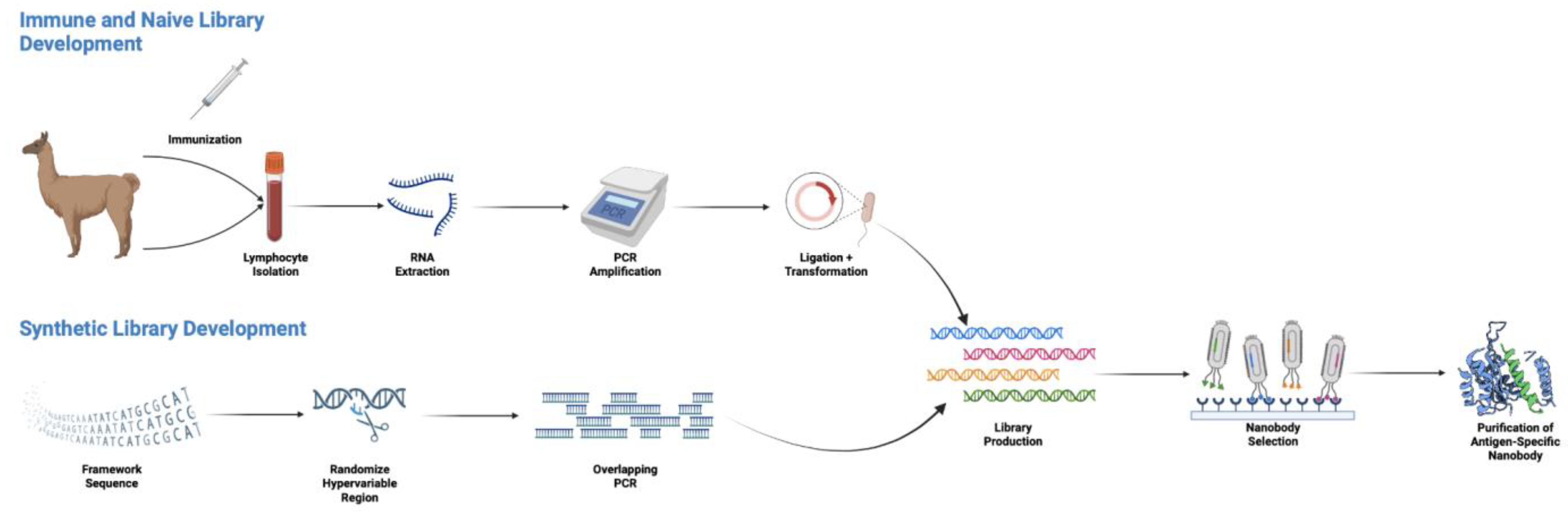 Cancers 15 03493 g002 Cancers 15 03493 g002