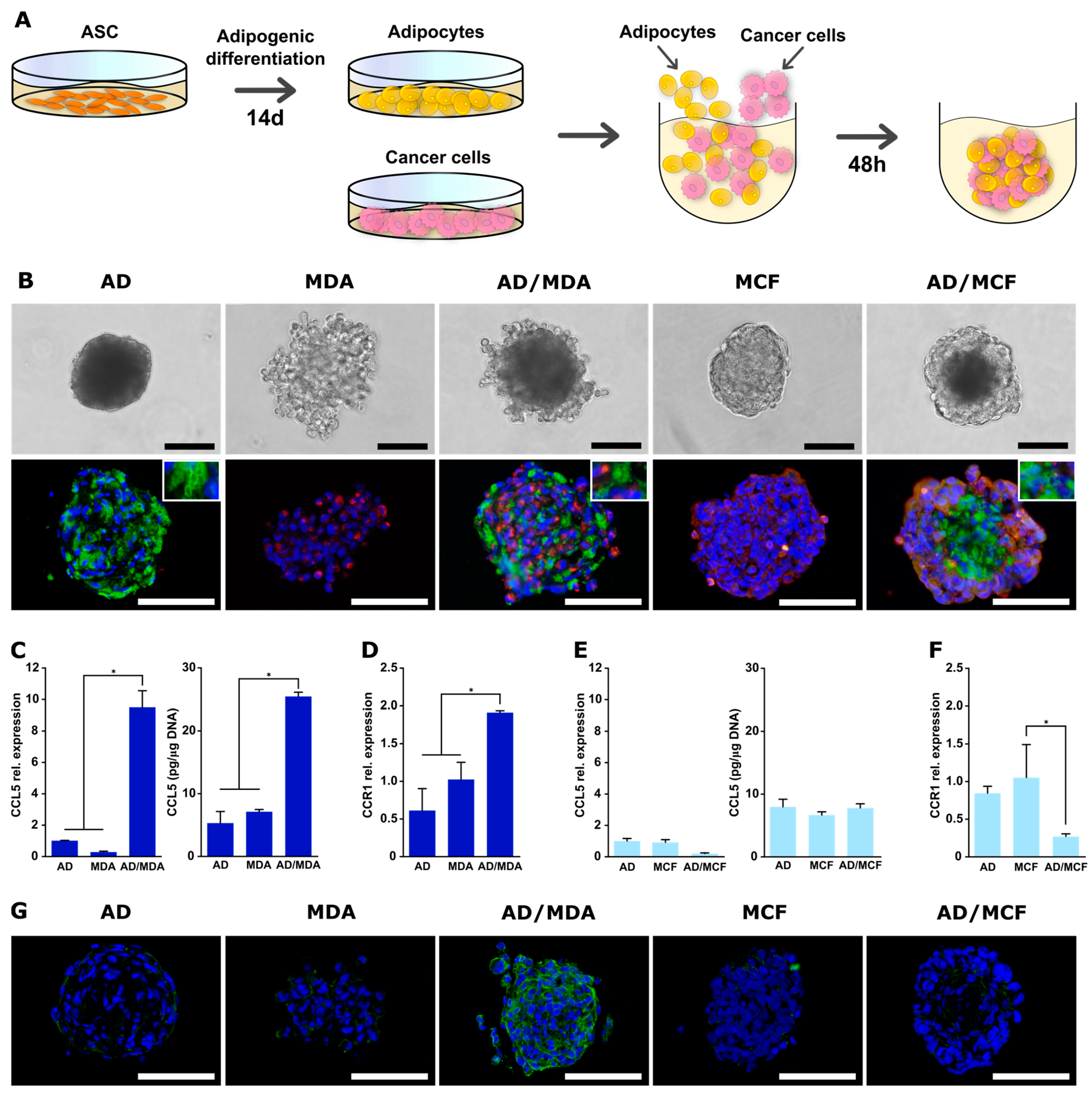 Cancers 15 03501 g006 Cancers 15 03501 g006
