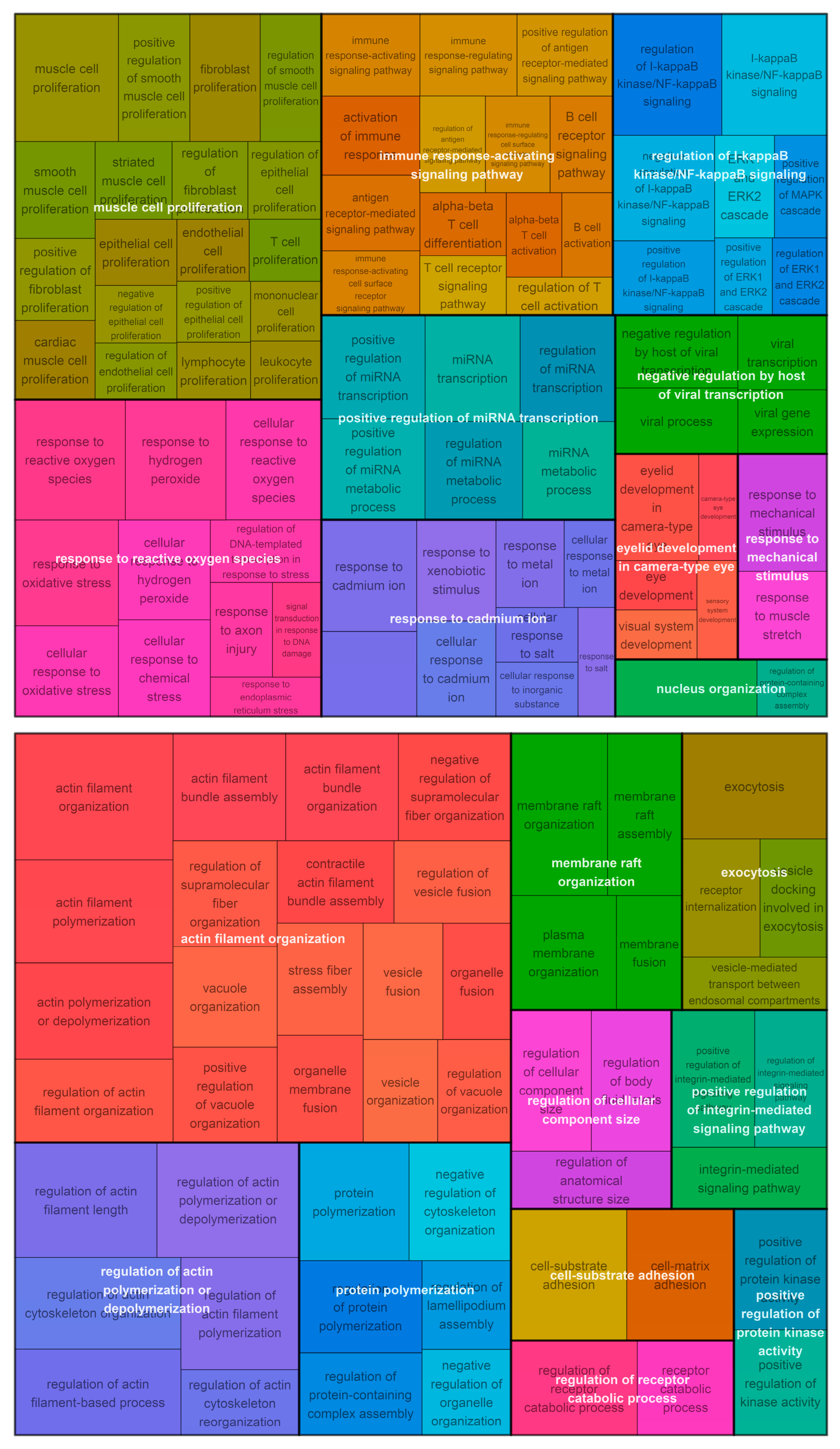 Cancers 15 03504 g003