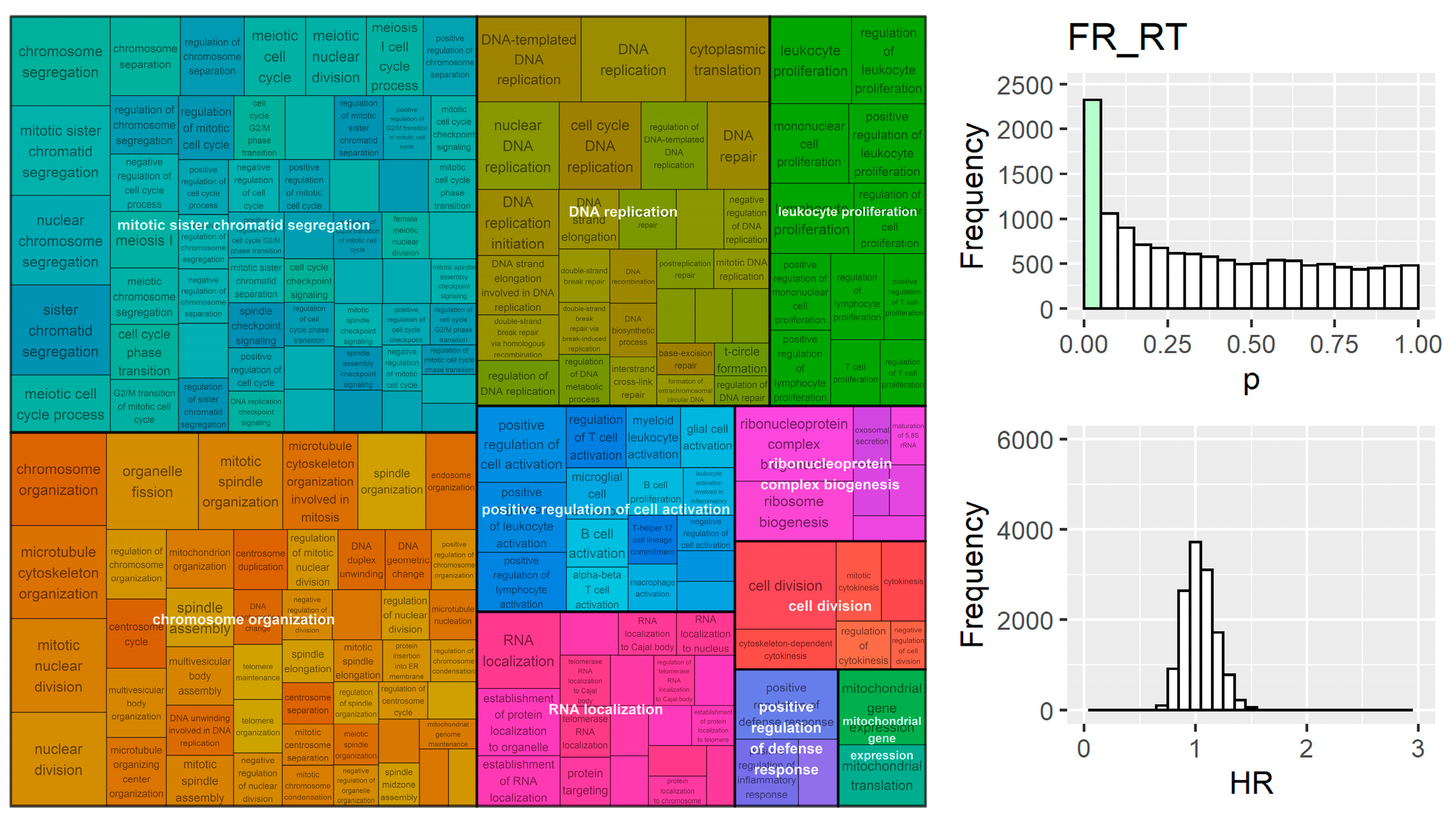 Cancers 15 03504 g005