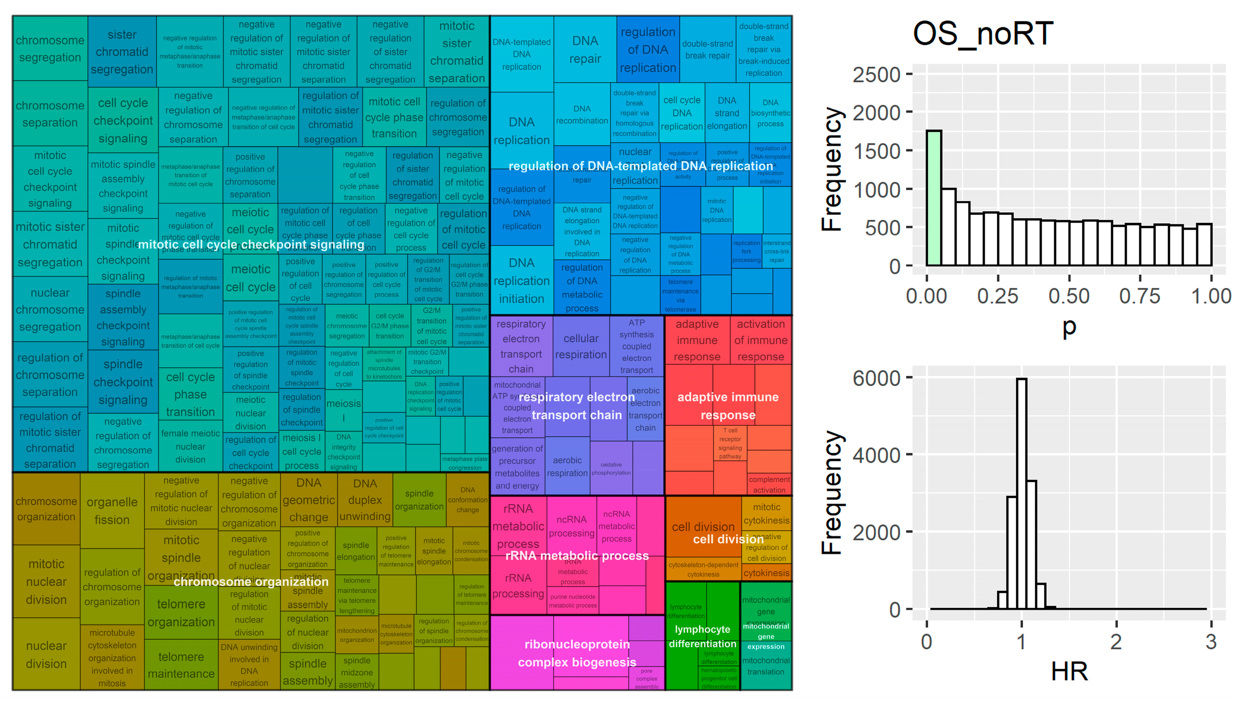 Cancers 15 03504 g006