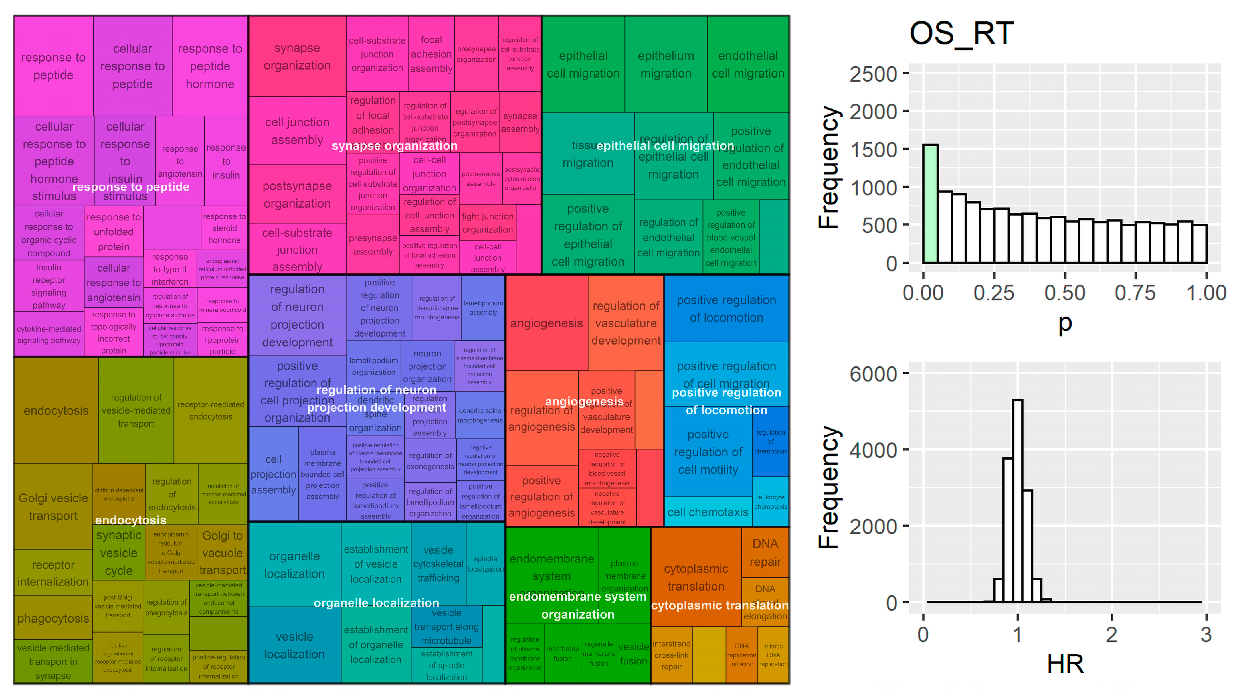 Cancers 15 03504 g007