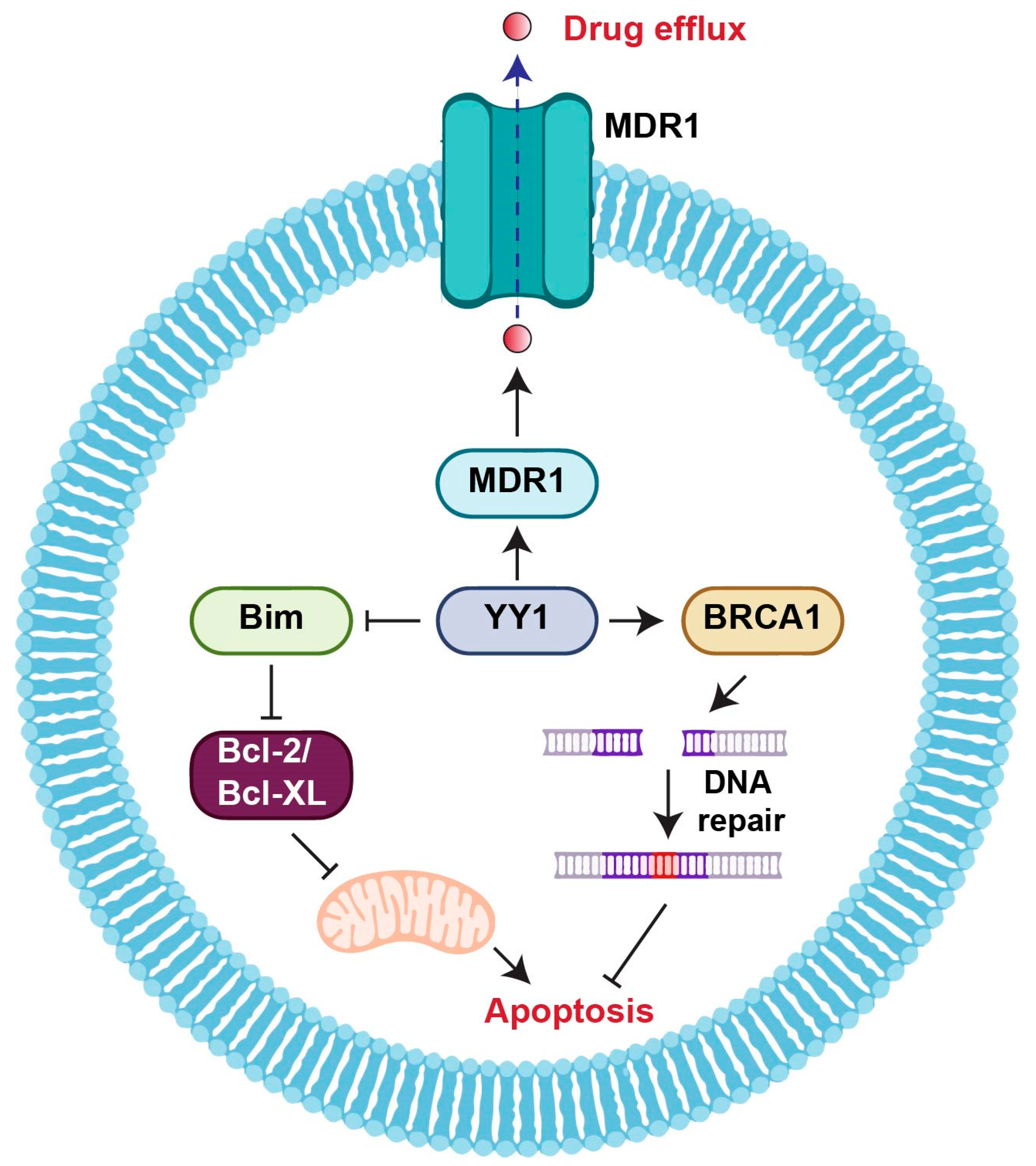 Cancers 15 03506 g001 Cancers 15 03506 g001