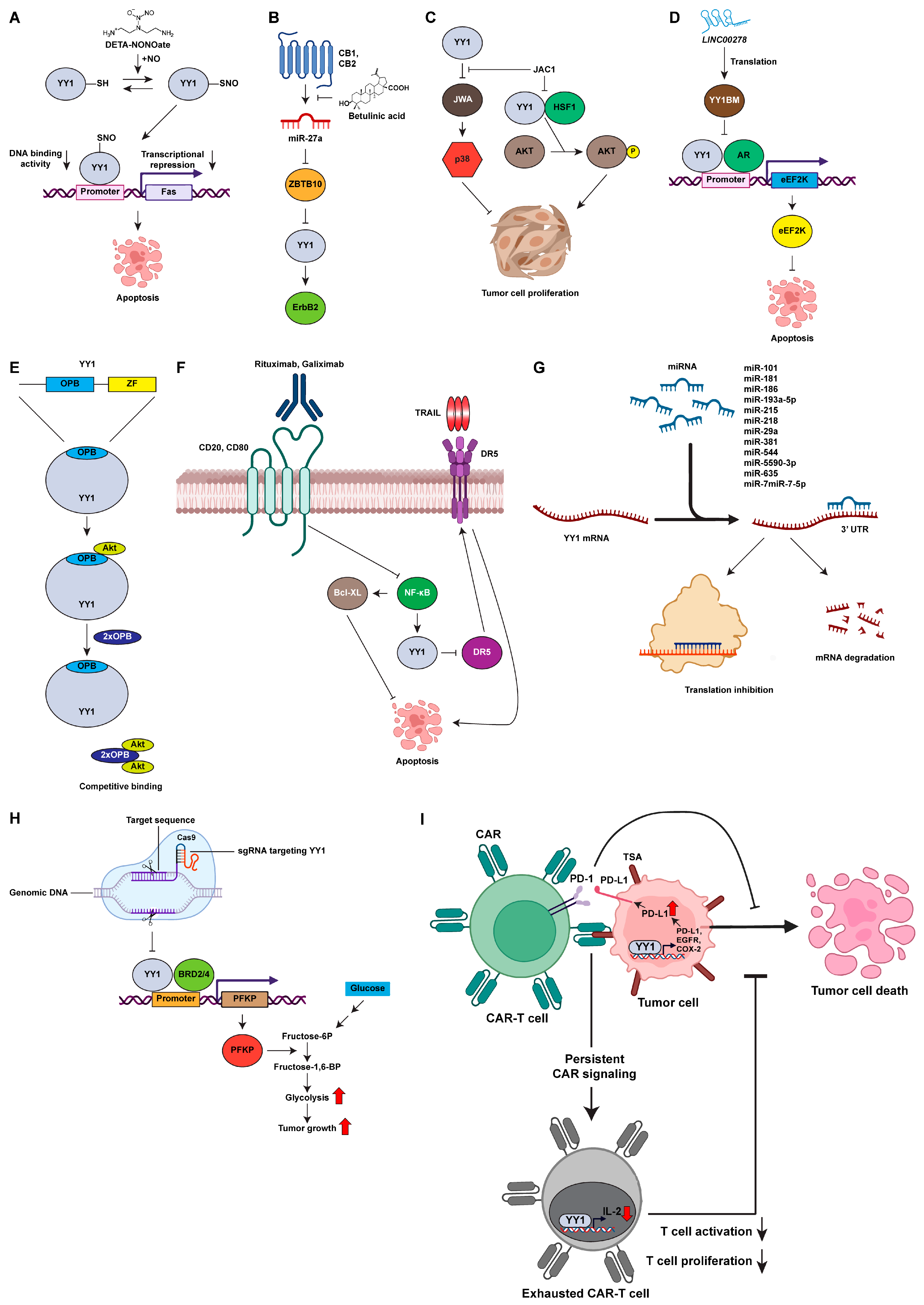 Cancers 15 03506 g002 Cancers 15 03506 g002