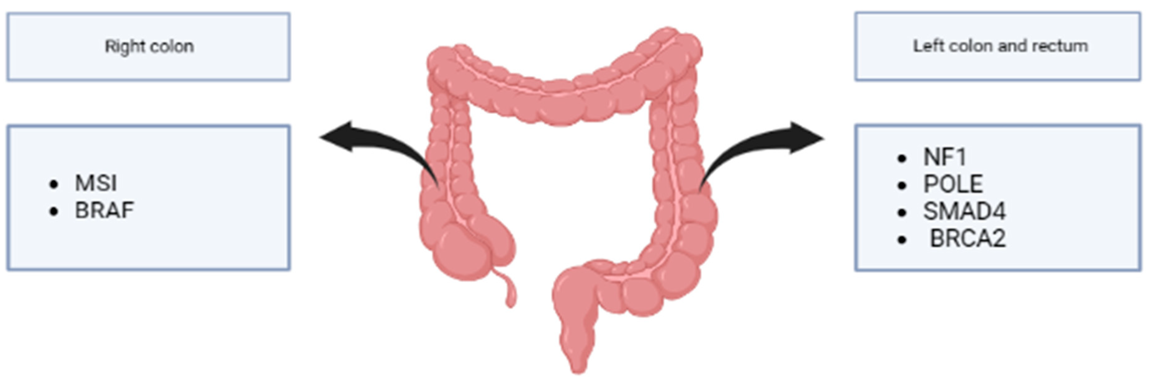 Cancers 15 03509 g004