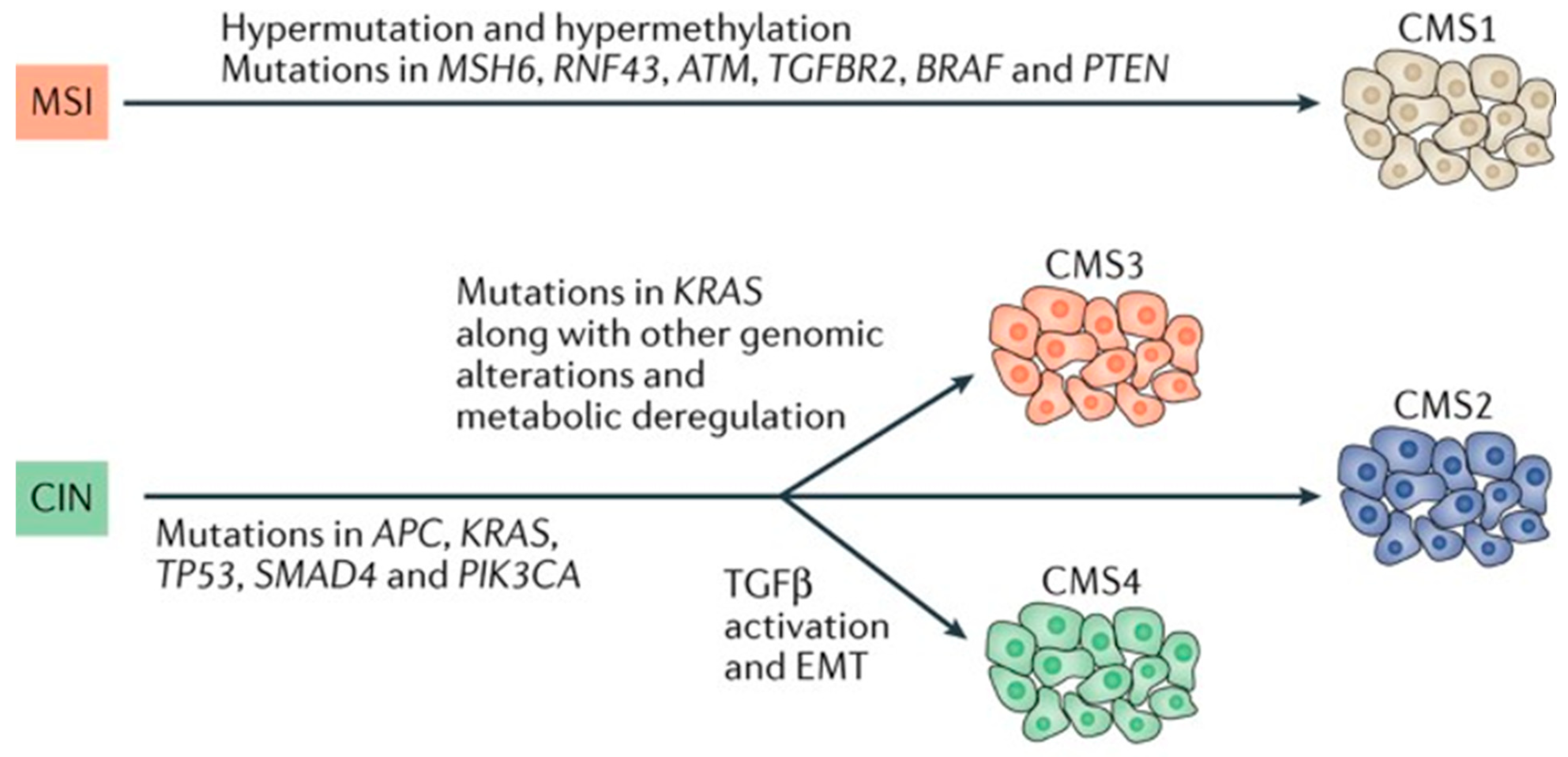 Cancers 15 03513 g001