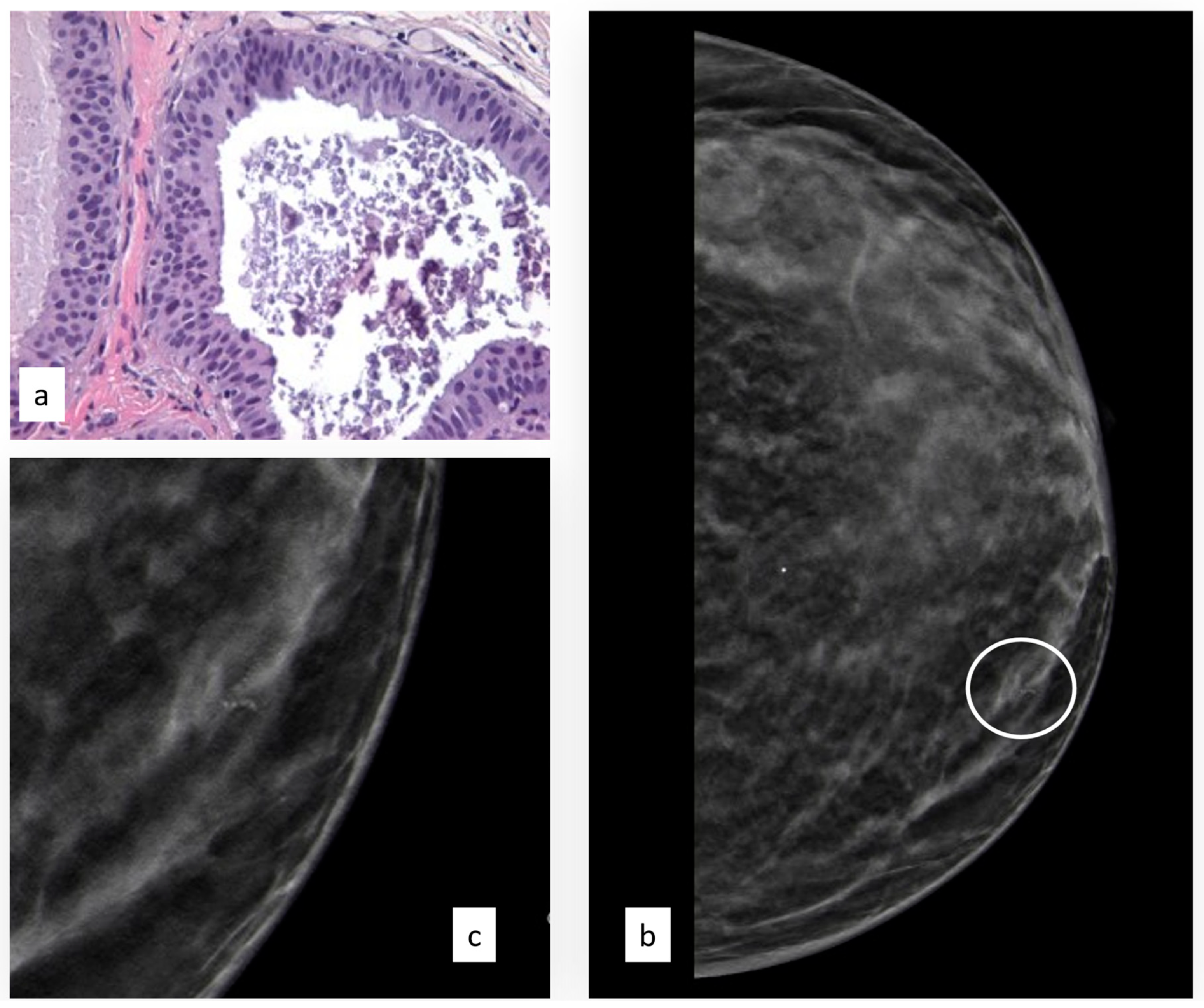 Cancers 15 03521 g003