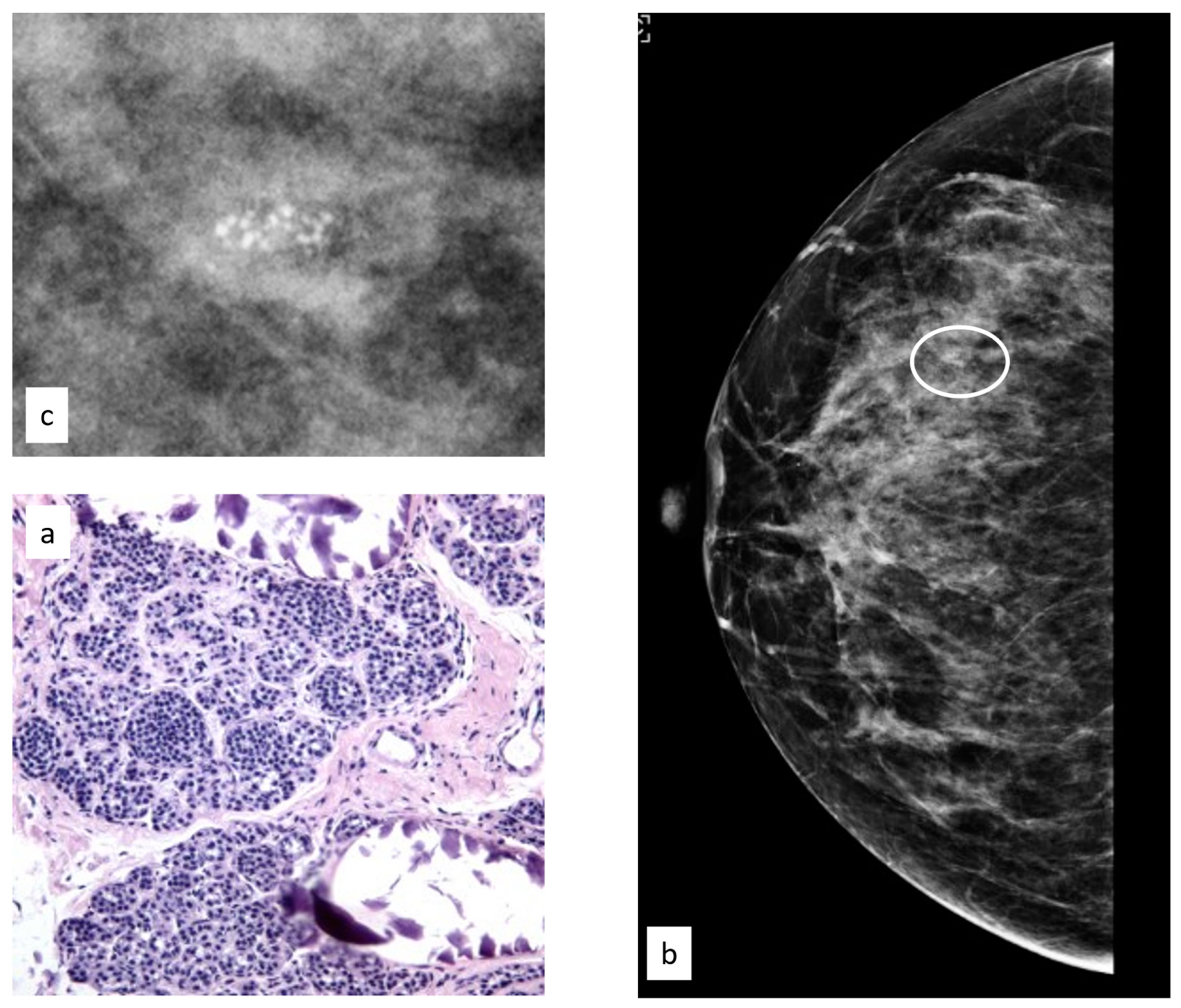 Cancers 15 03521 g005