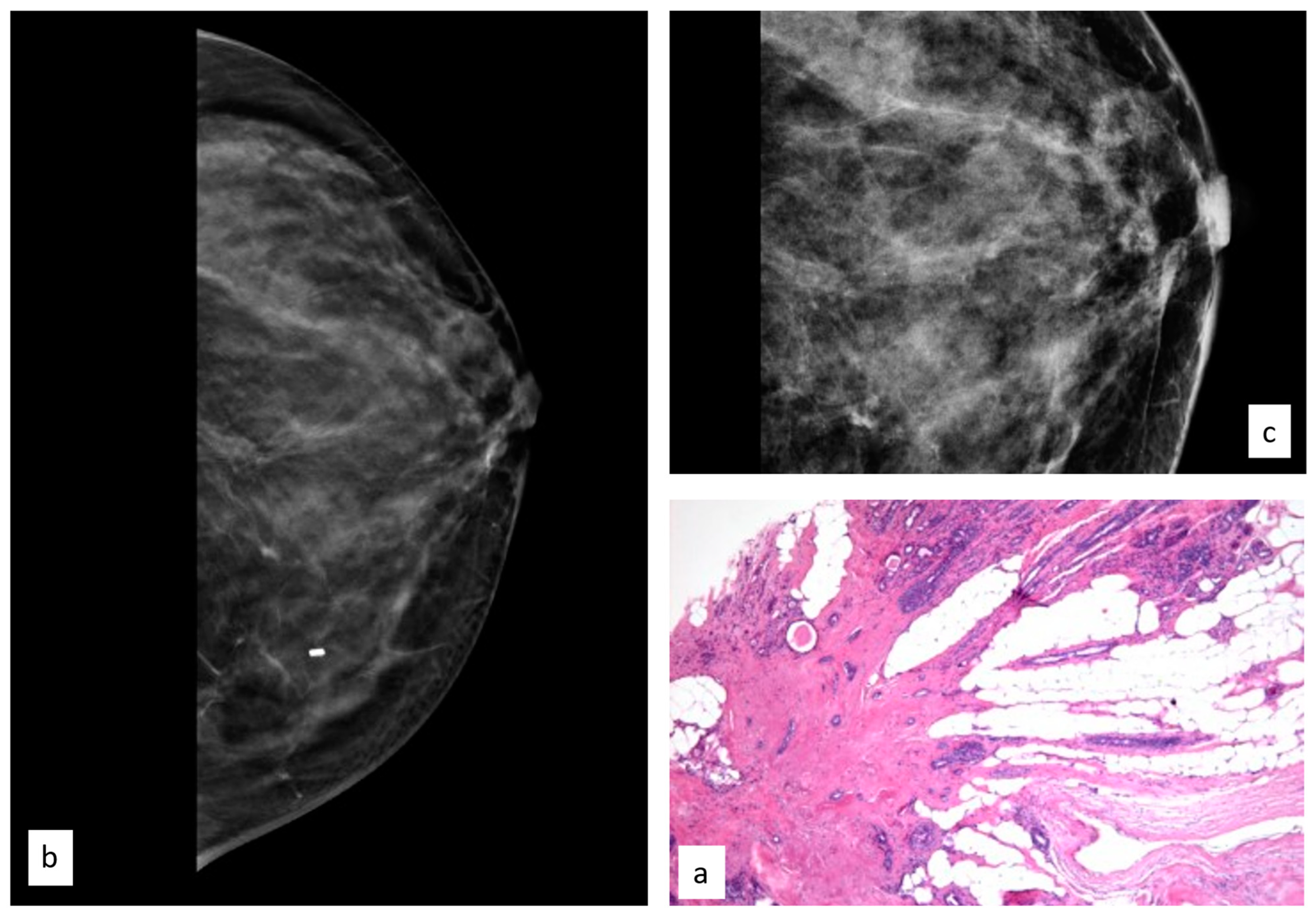 Cancers 15 03521 g008