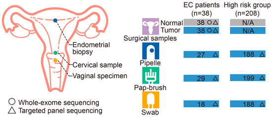 Diagnostic Potential of Endometrial Cancer DNA from Pipelle