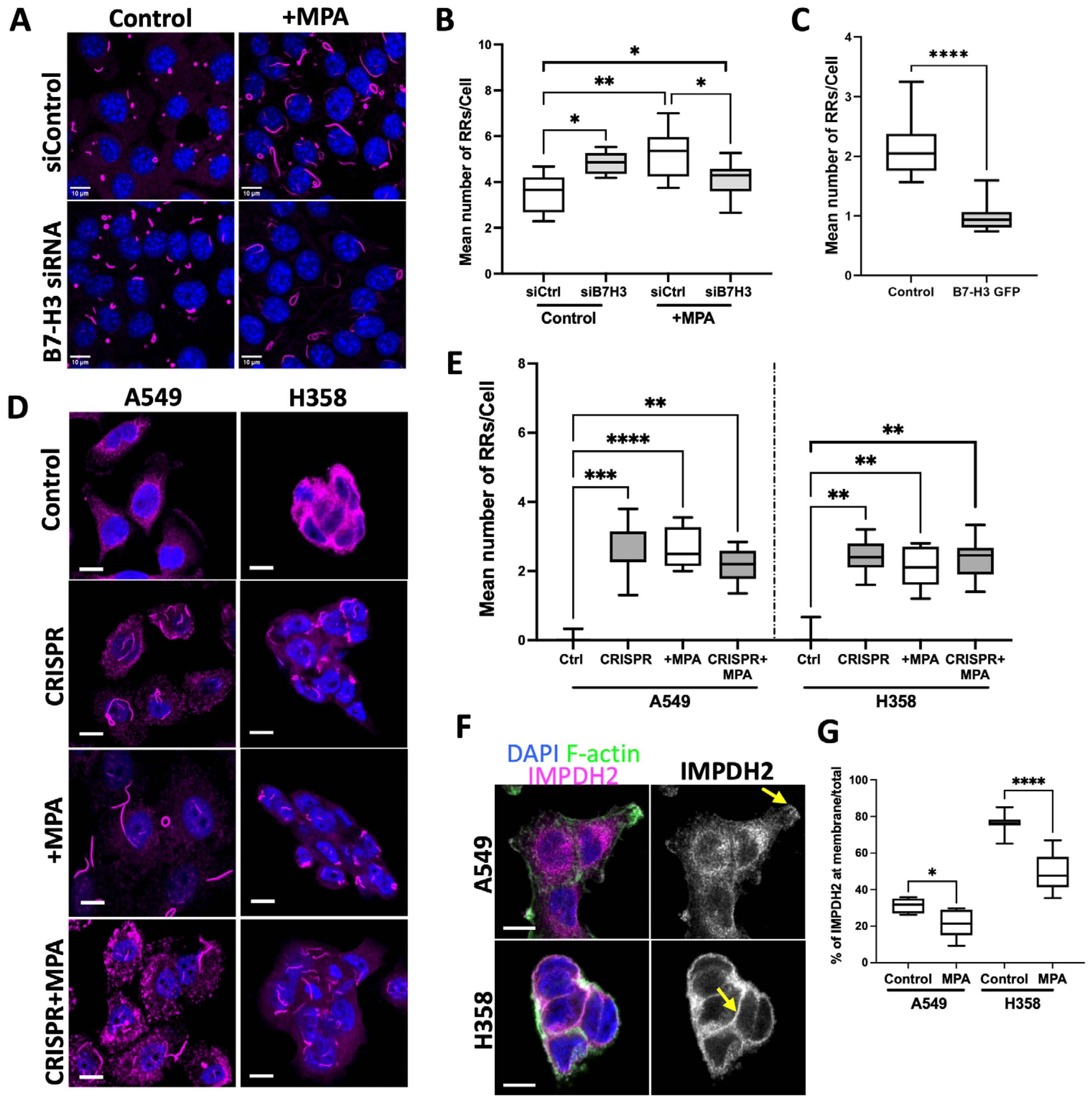 Cancers 15 03530 g002
