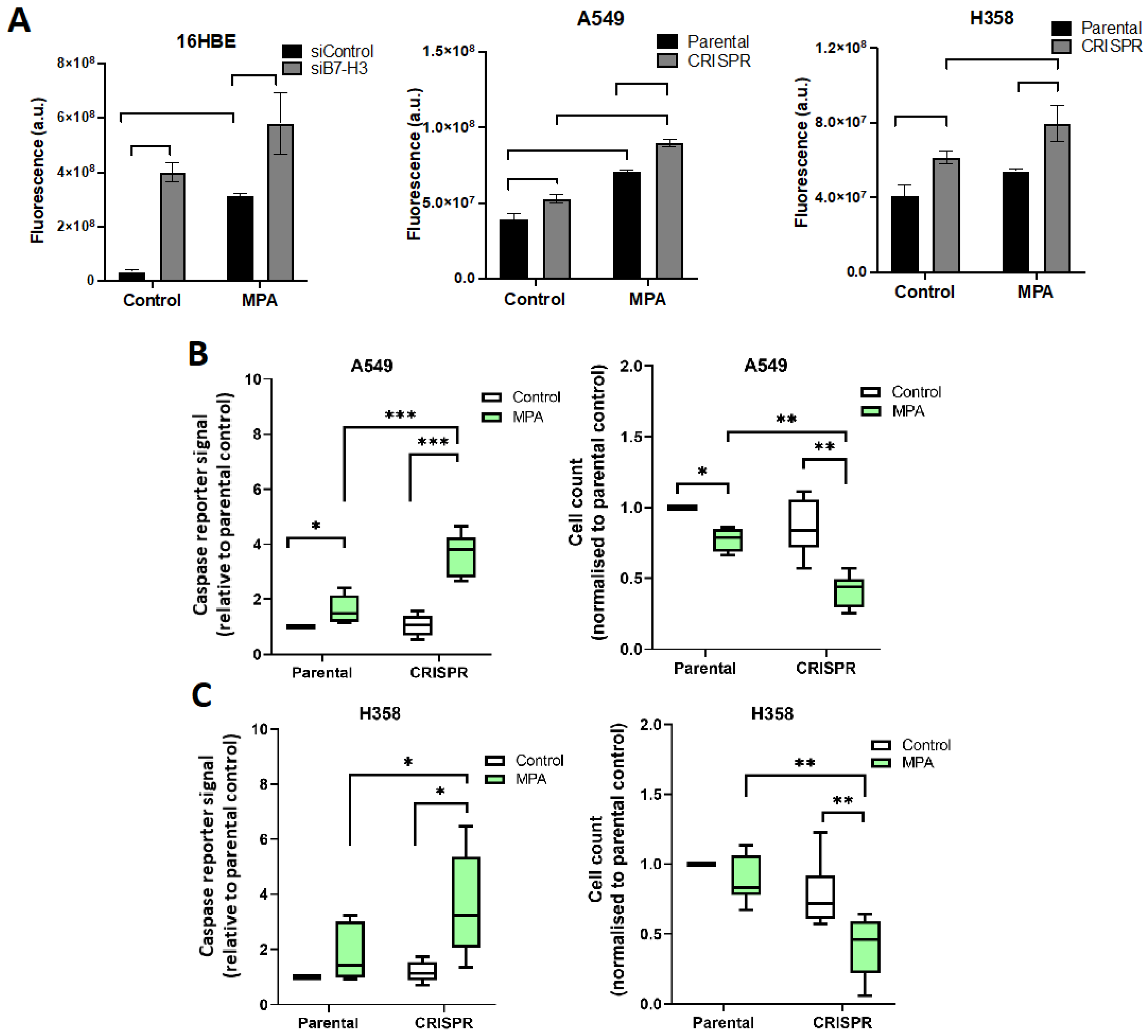 Cancers 15 03530 g006