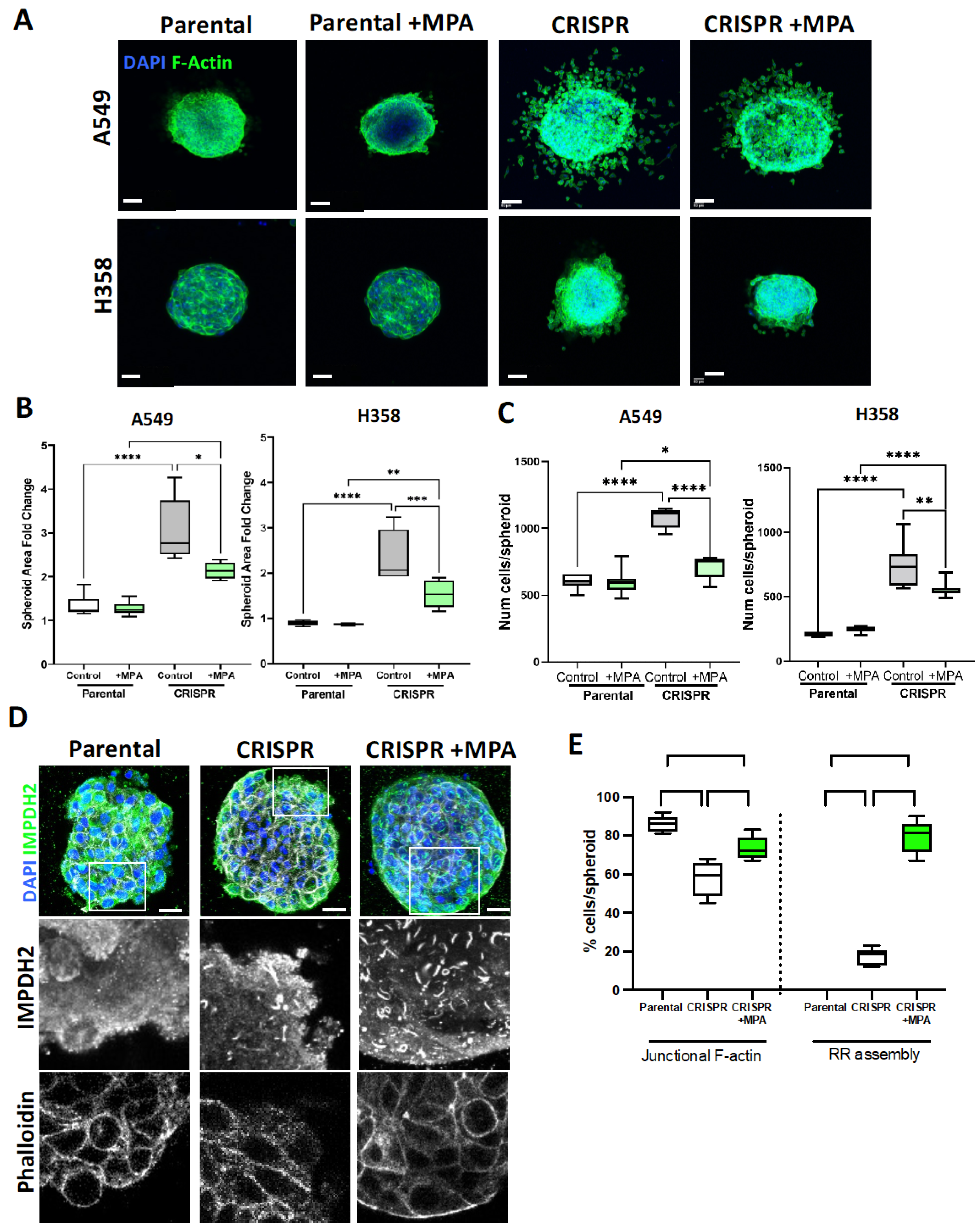 Cancers 15 03530 g007