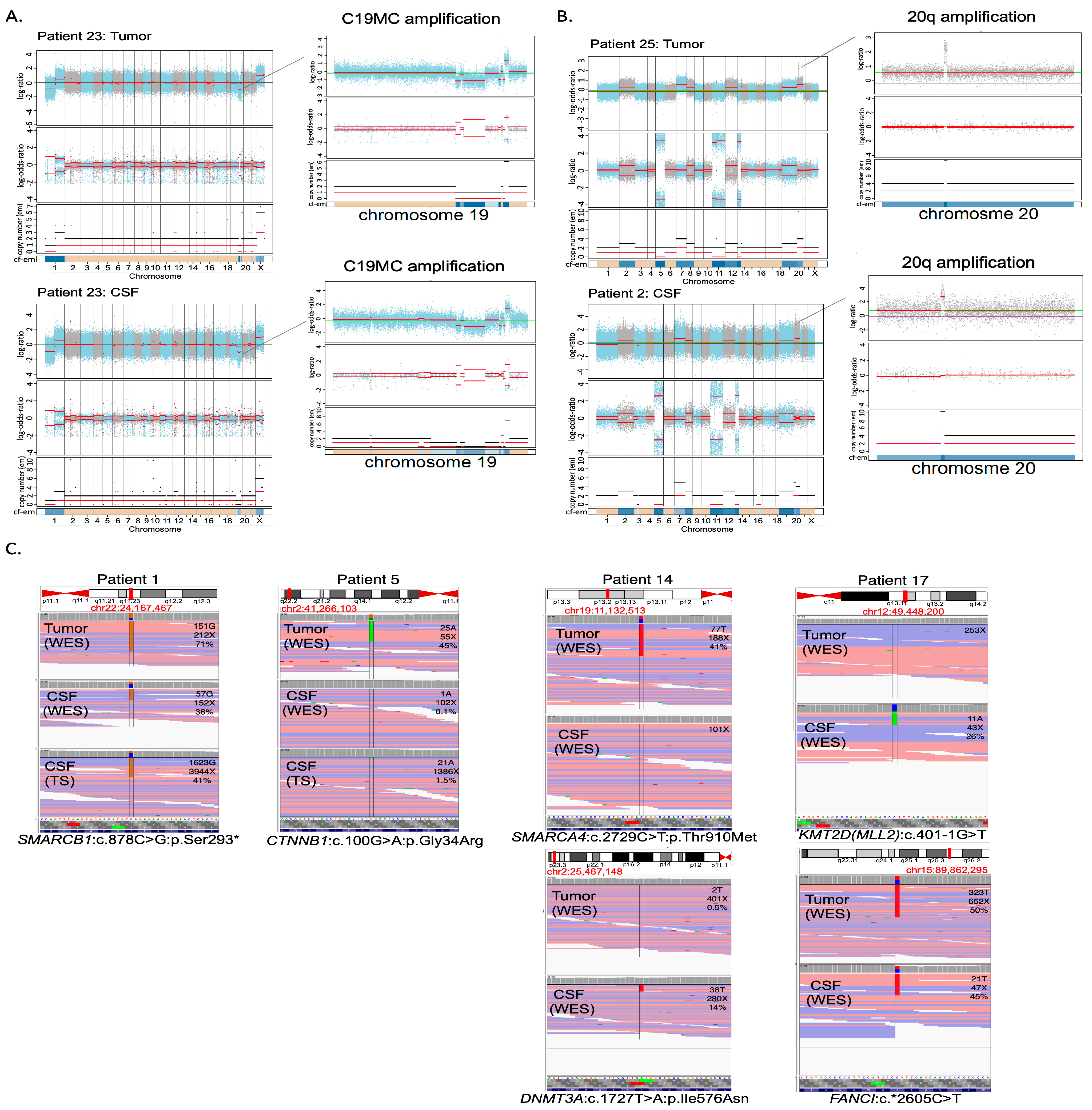 Cancers 15 03532 g001