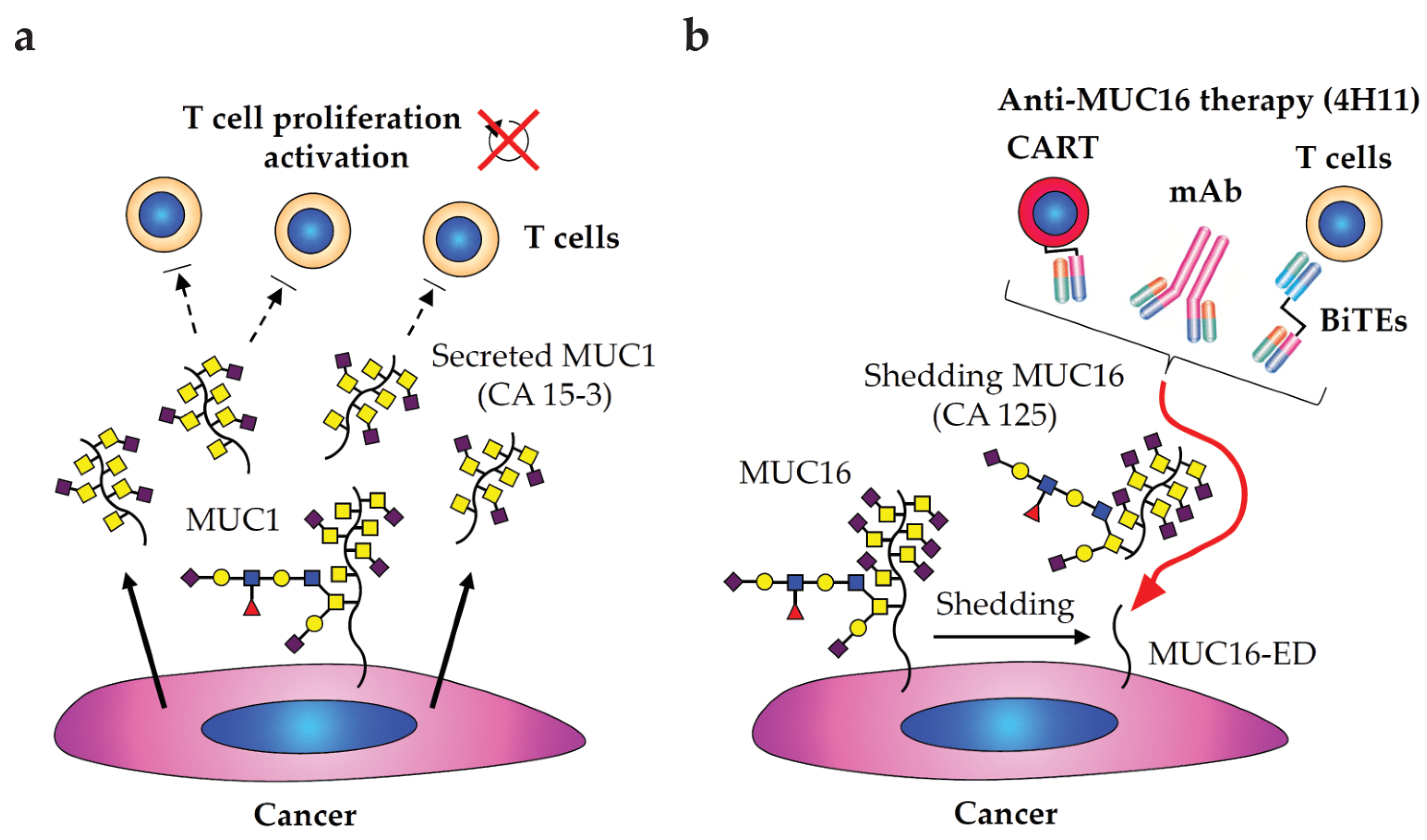 Cancers 15 03536 g003 Cancers 15 03536 g003