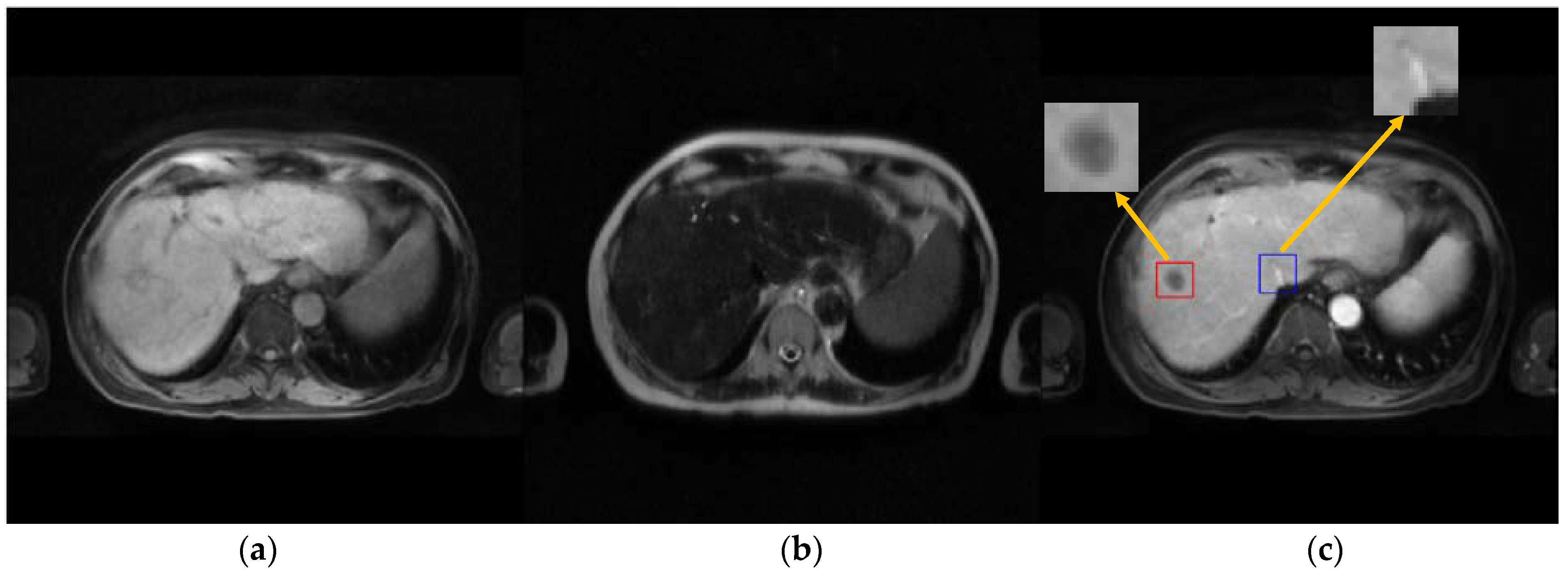 Cancers 15 03544 g003a Cancers 15 03544 g003a