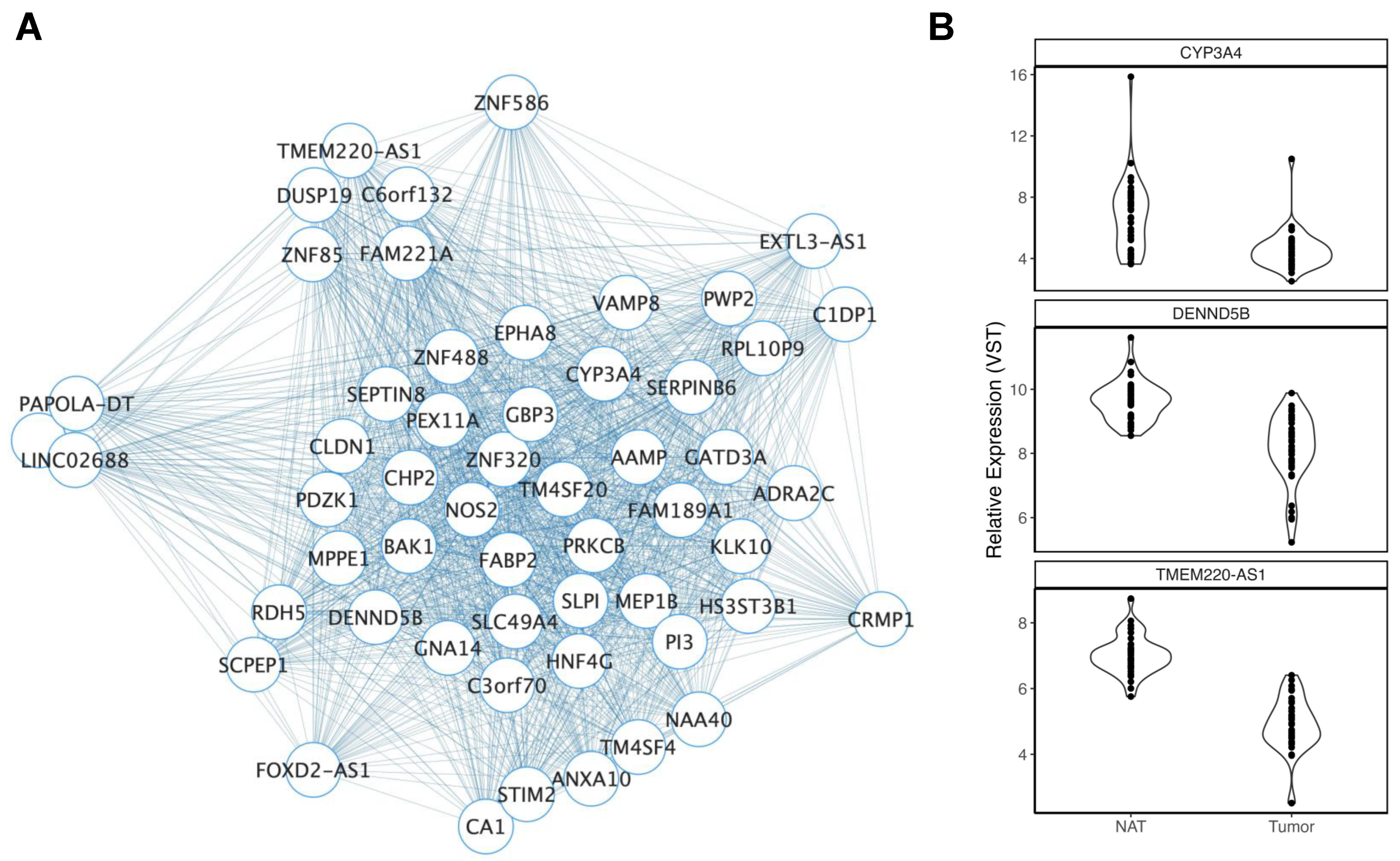 Cancers 15 03550 g001 Cancers 15 03550 g001
