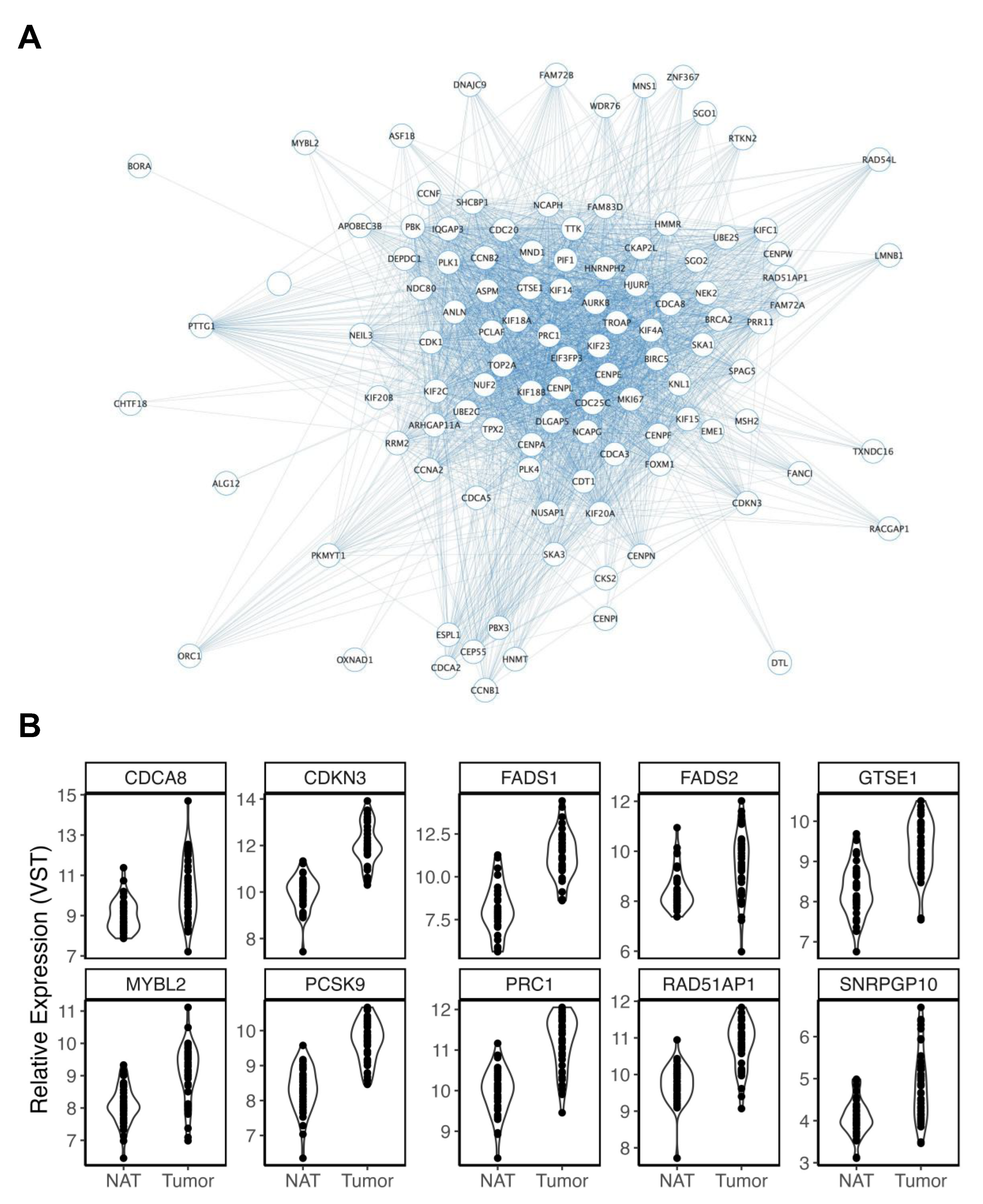 Cancers 15 03550 g004 Cancers 15 03550 g004